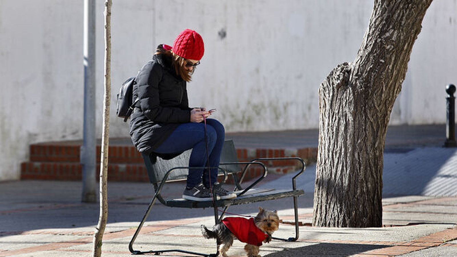 Una persona, sacando a su mascota con ropa de abrigo