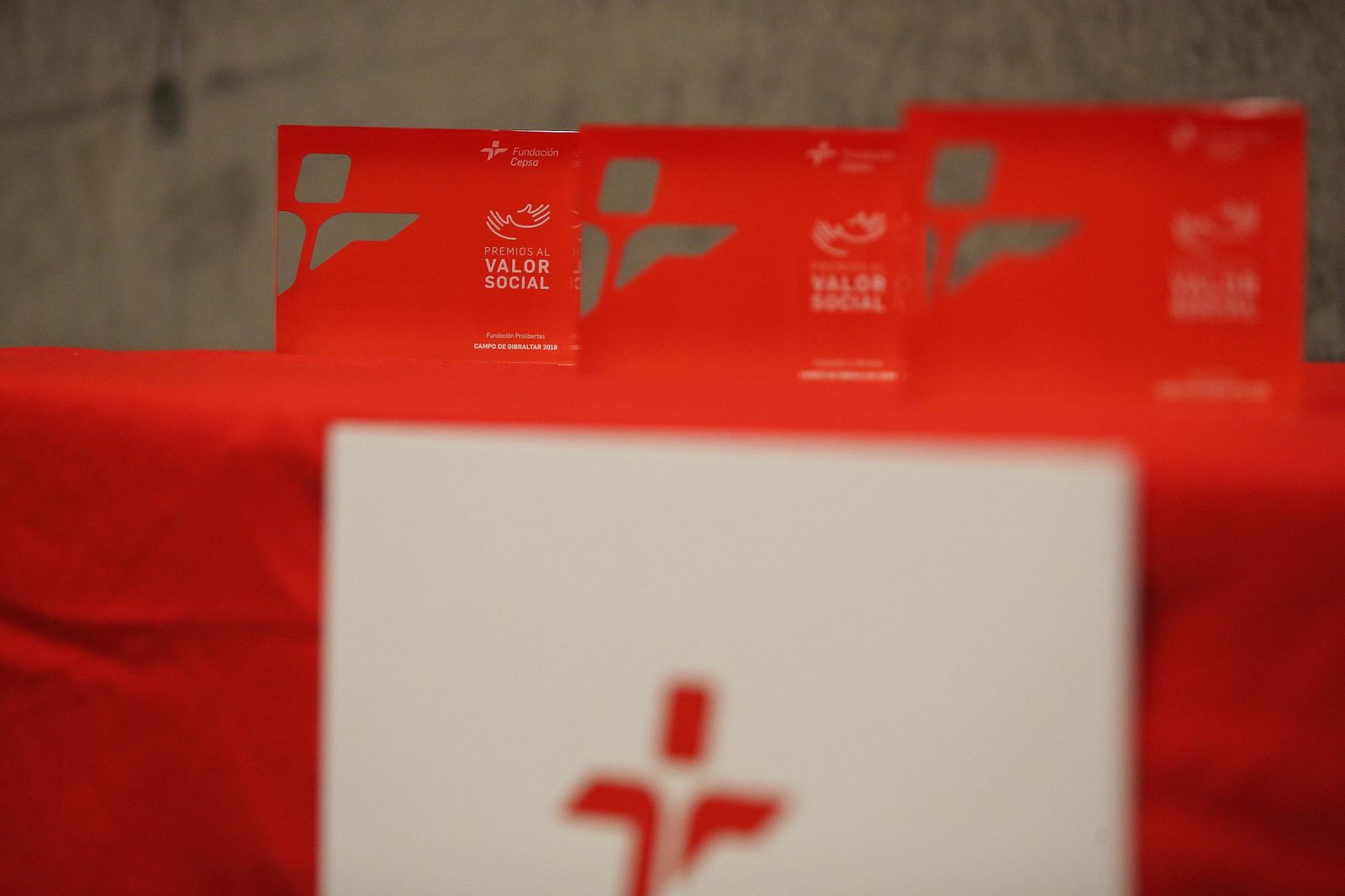 XVII Premios al Valor Social, Fundación Cepsa