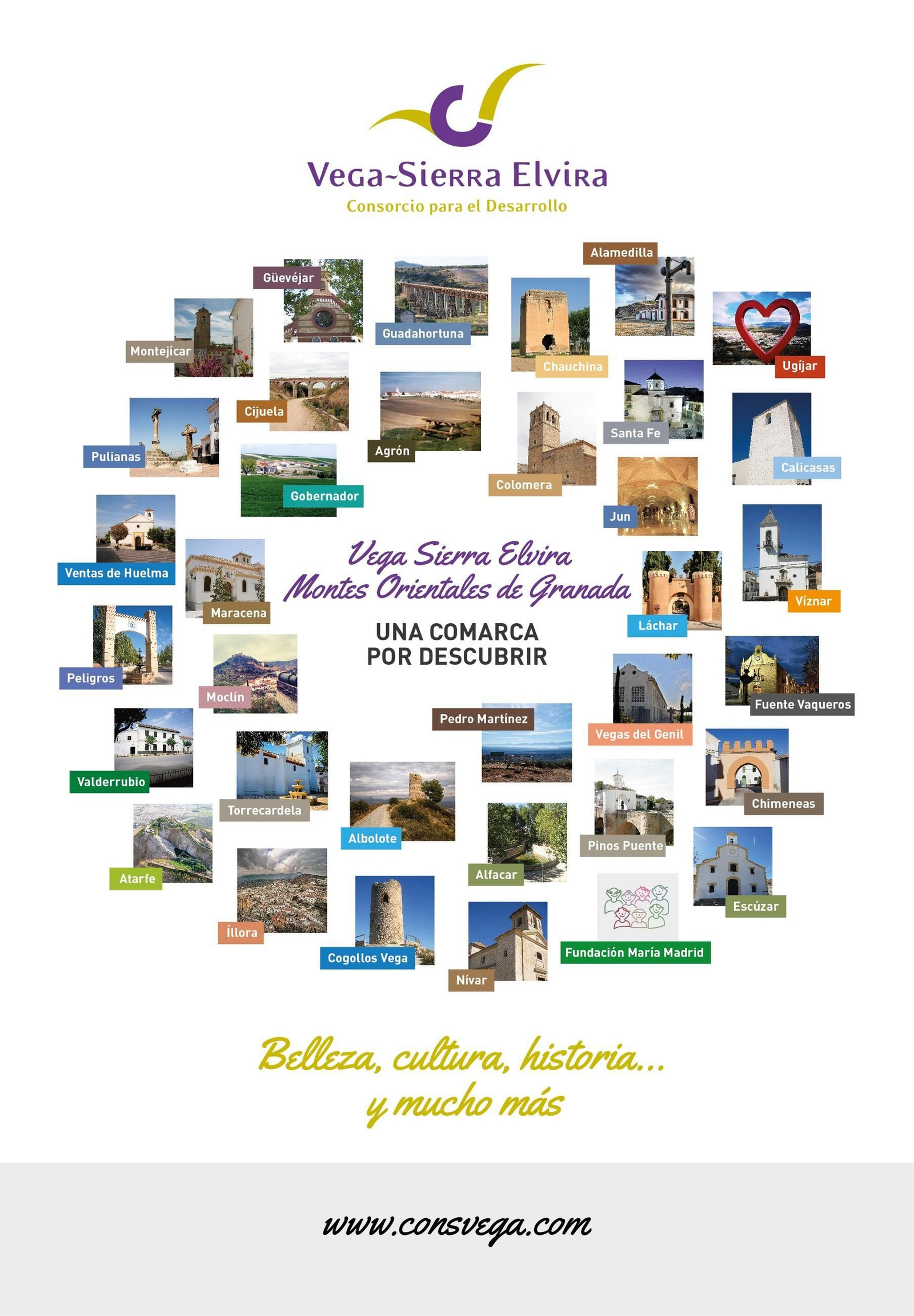 Cartel oficial del Consorcio Vega Sierra Elvira.
