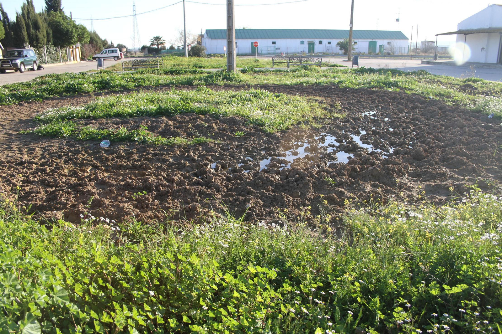 Estado que presentan las zonas comunes situadas a la entrada de la barriada de La Alquería, llenas de lodo y de hierbas.