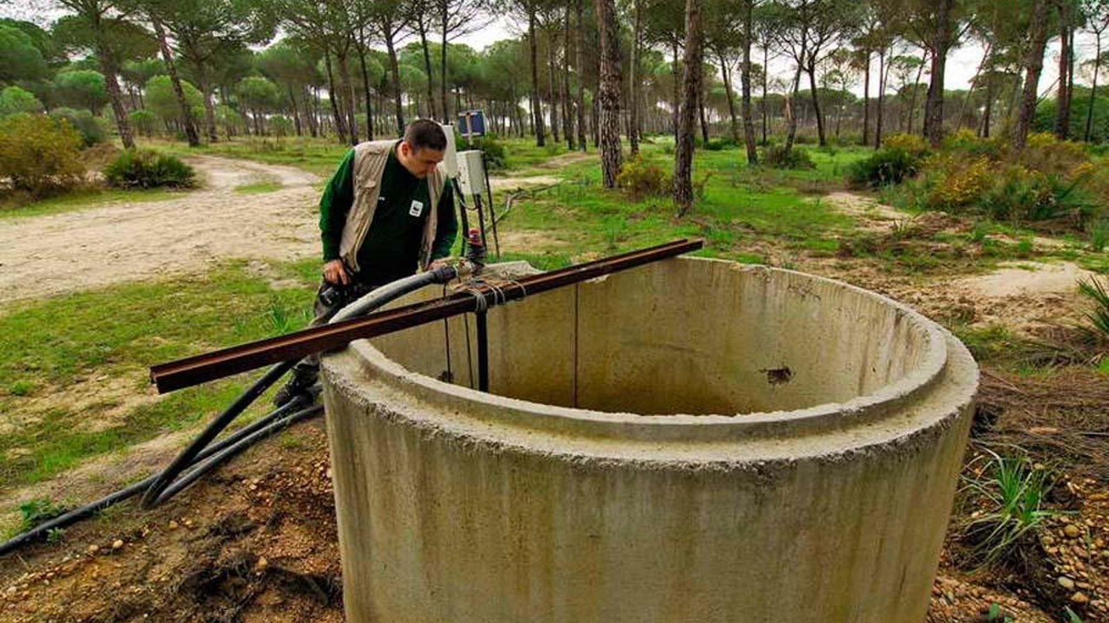 Pozo ilegal en Doñana.