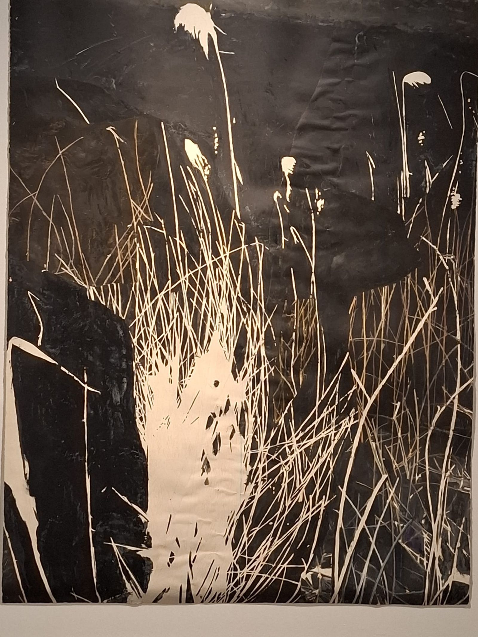 José Carlos Naranjo