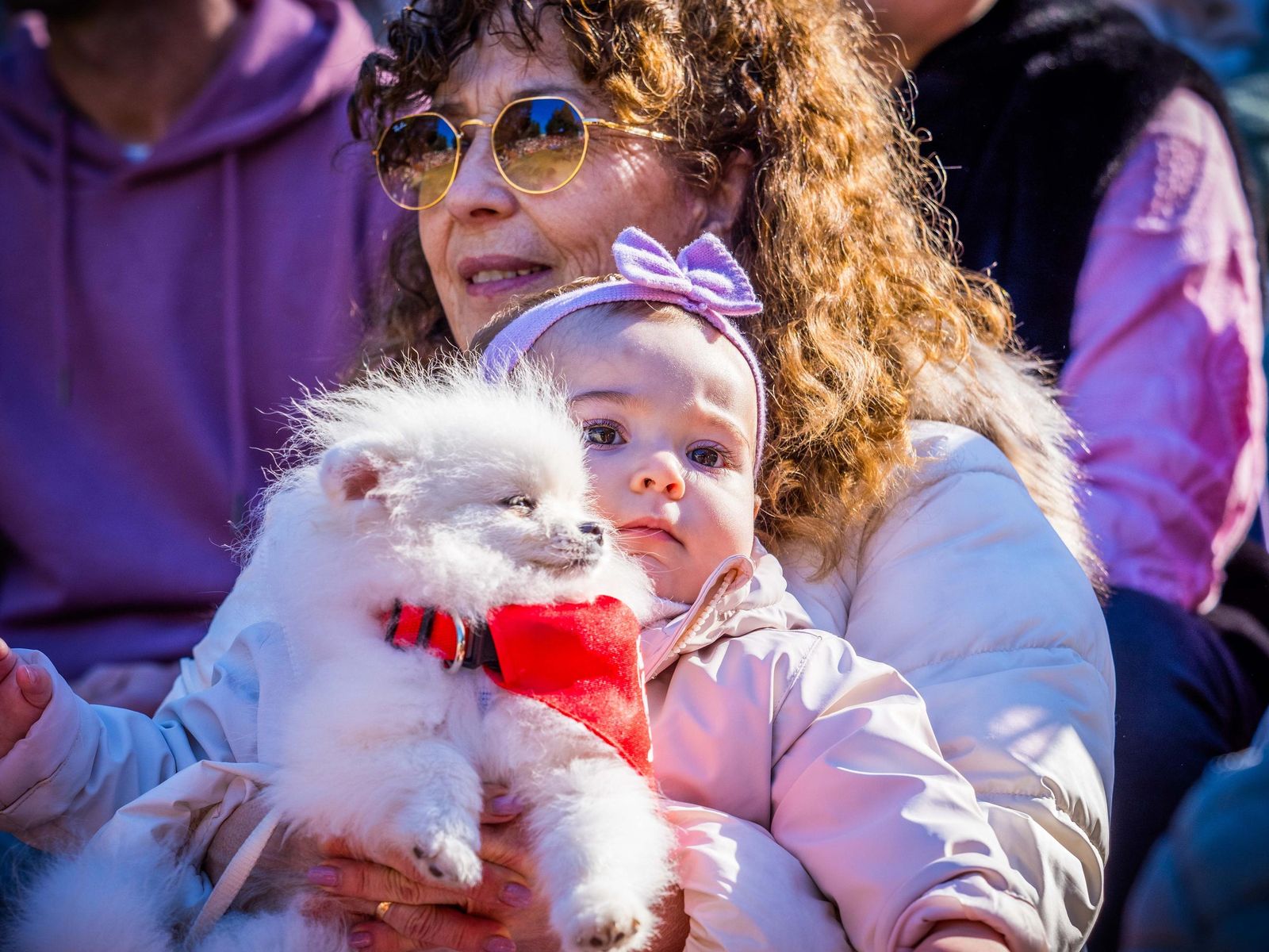 Las imágenes de San Antón 2025 en San Fernando