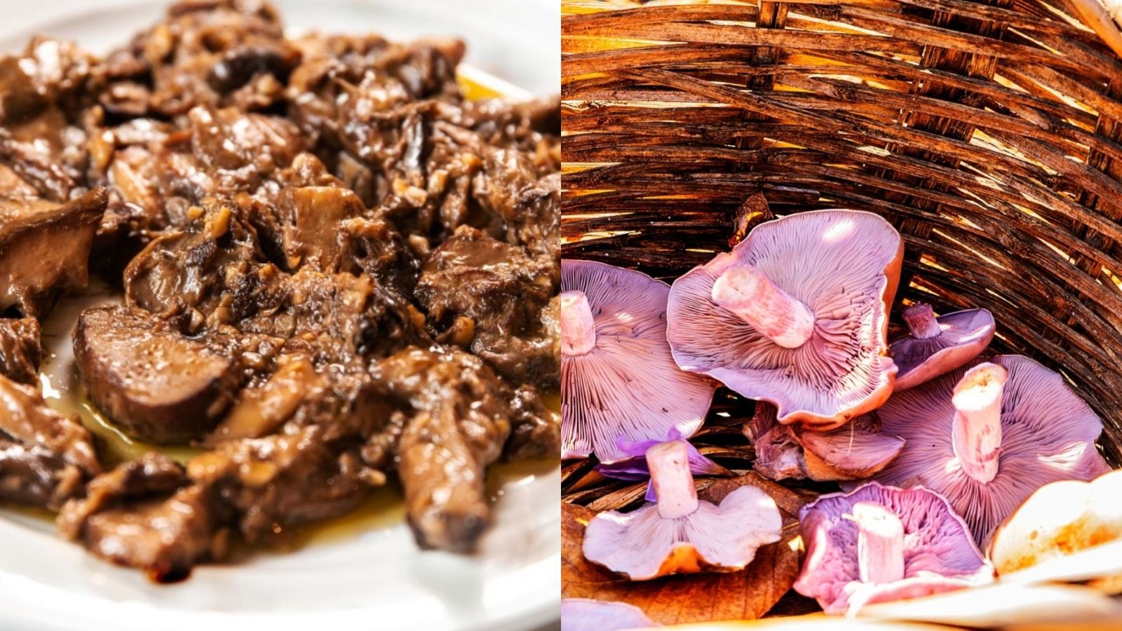 Gastronomía de la Sierra