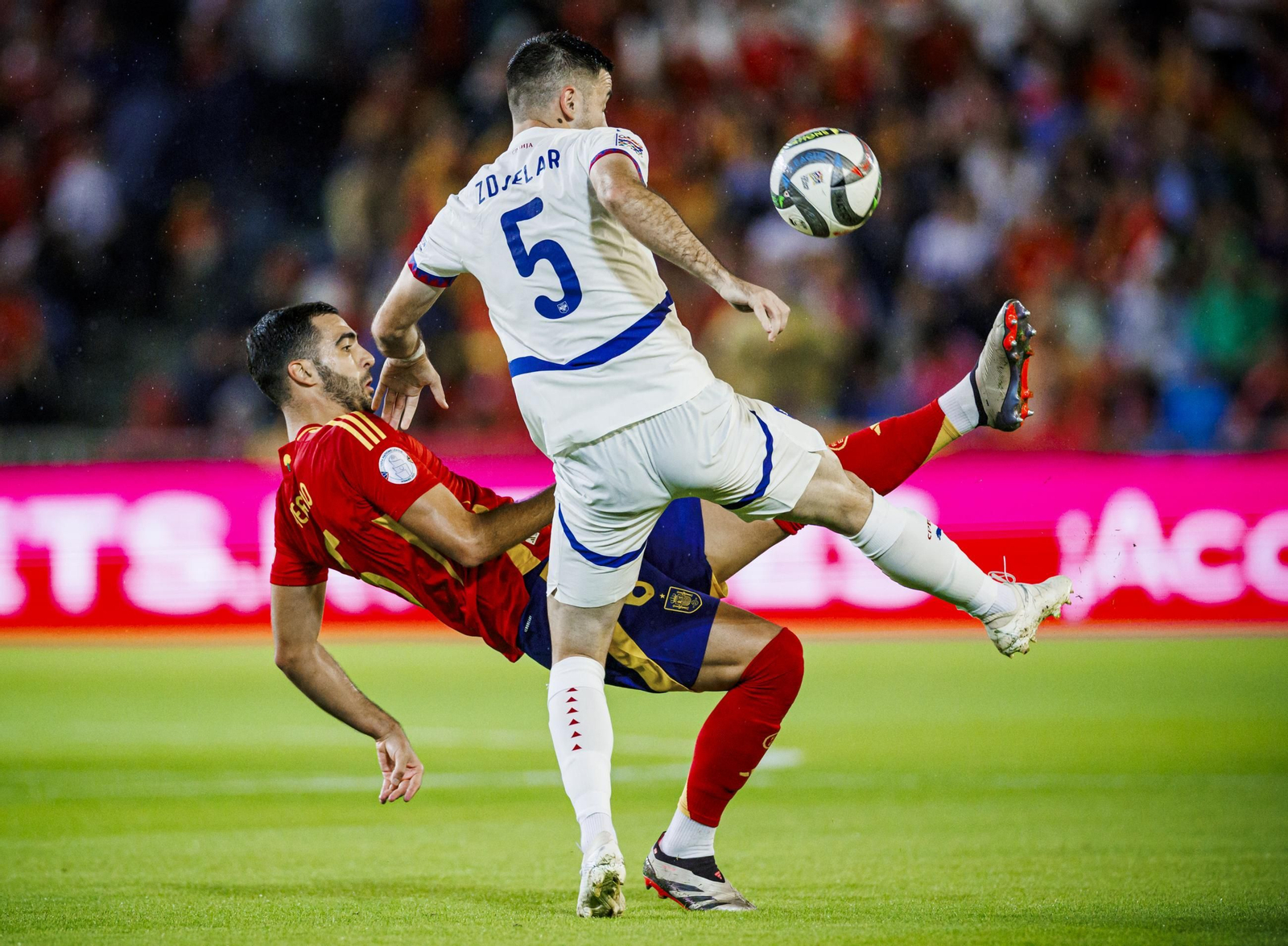 Las fotos del España - Serbia en Córdoba