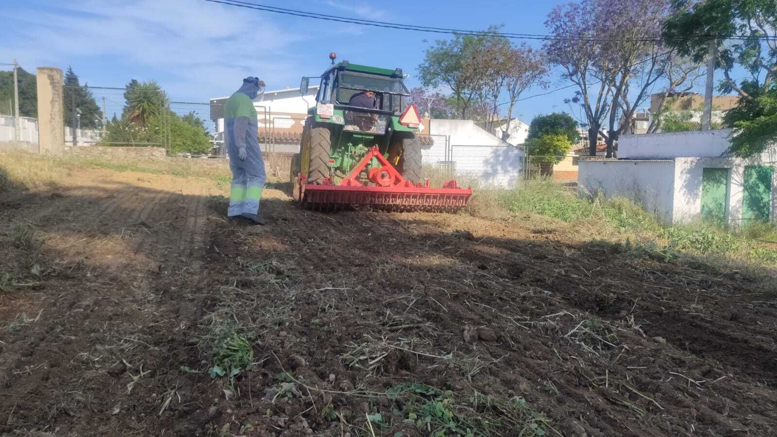 Operarios municipales de El Torno durante las labores de limpieza del huerto municipal