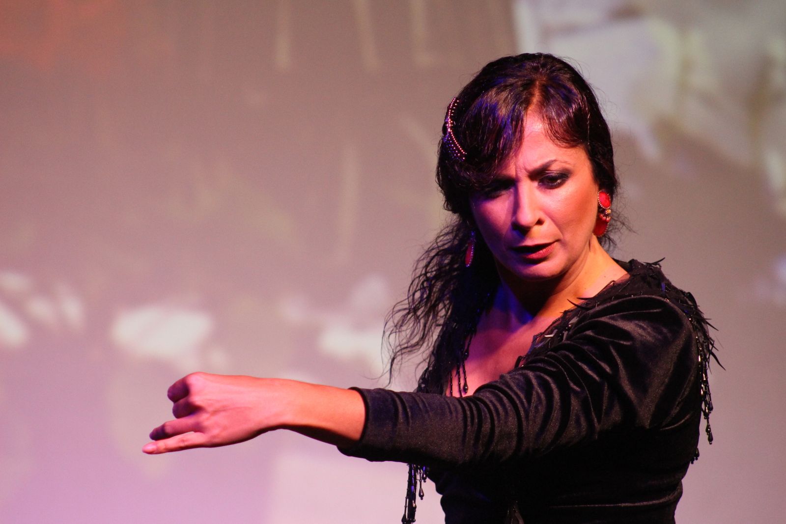 Las imágenes del II Festival Flamenco Atún Rojo de Almadraba en Conil