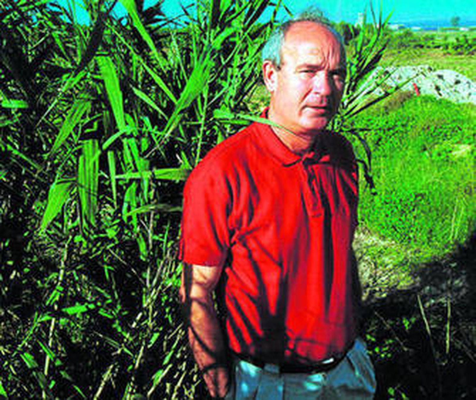 Francisco Casero, presidente de CAAE.