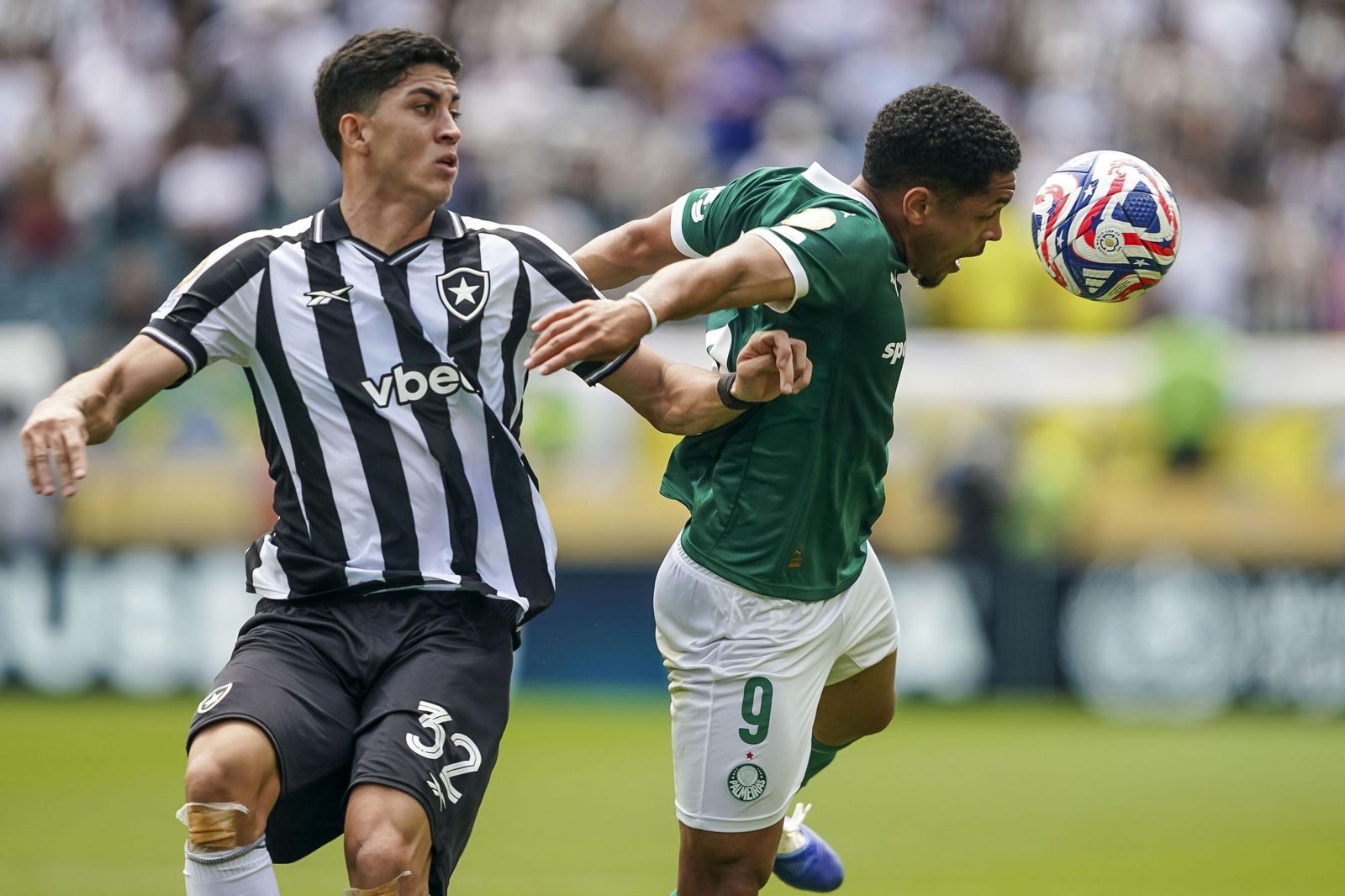 Palmeiras-Botafogo (8).jpg