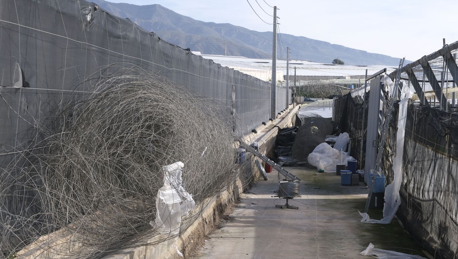 Los efectos del temporal de viento en los invernaderos, en imágenes