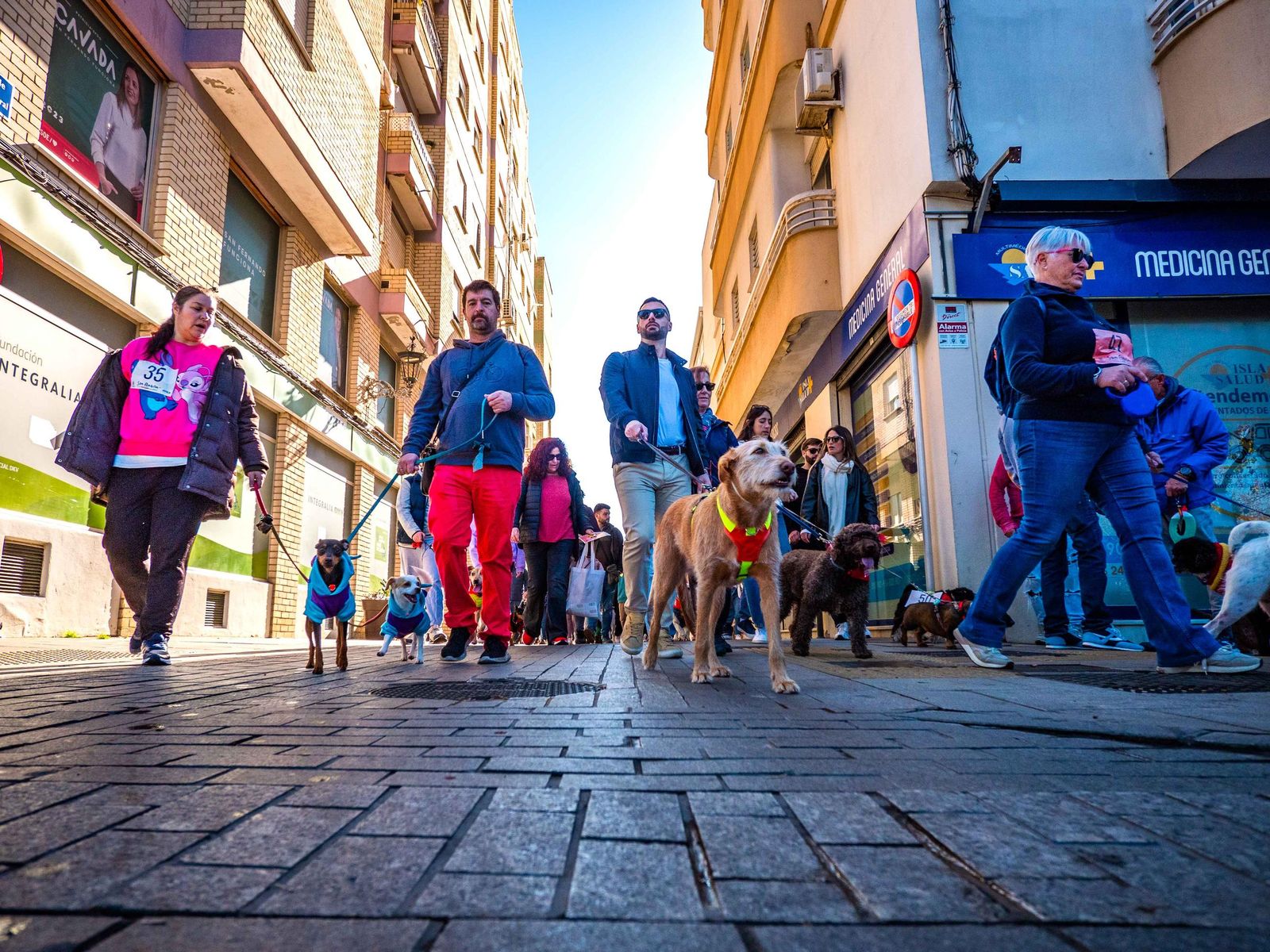 Las imágenes de San Antón 2025 en San Fernando