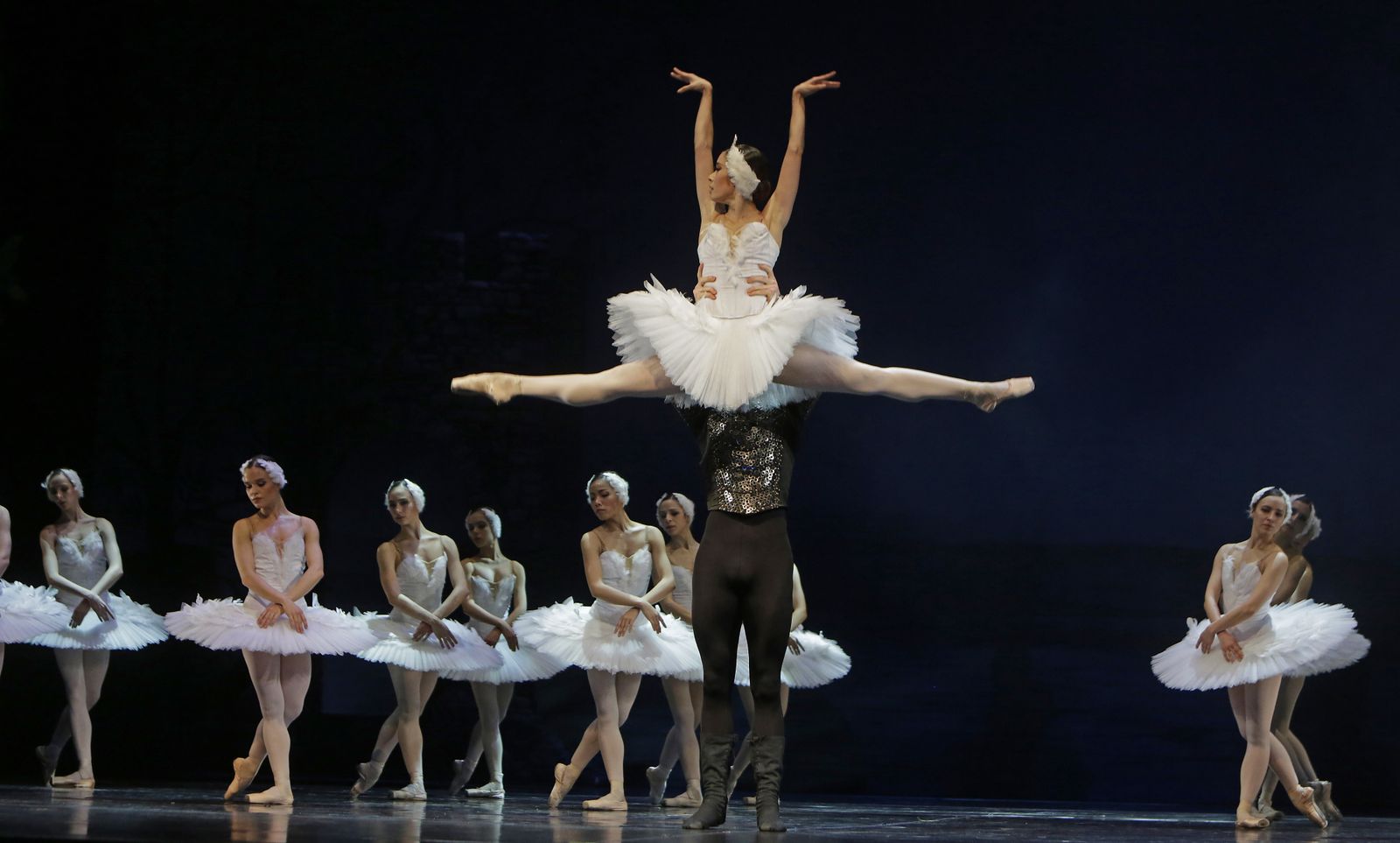 EL LAGO DE LOS CISNES