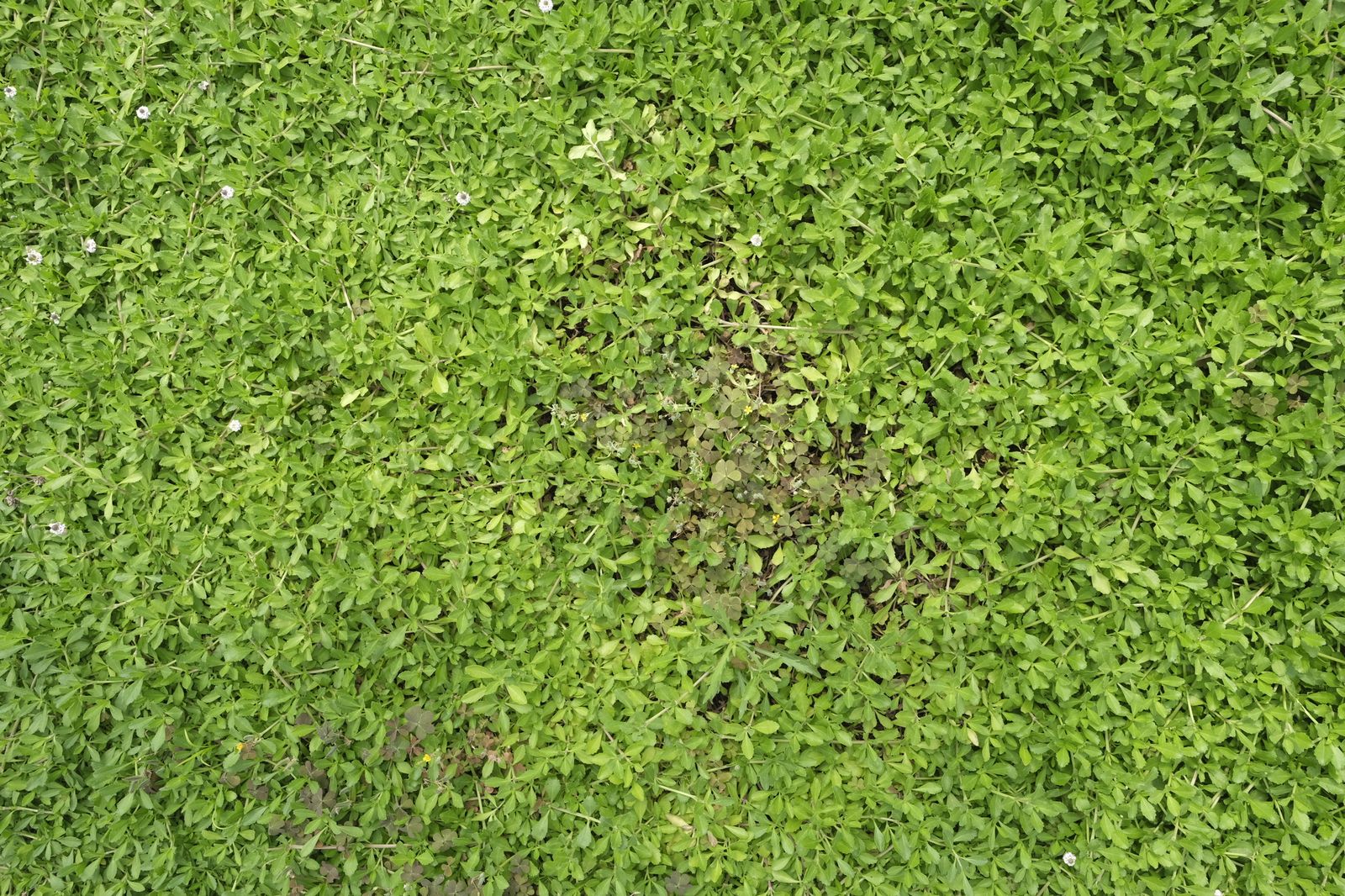 Fotogalería de la visita al vivero municipal de Almería.