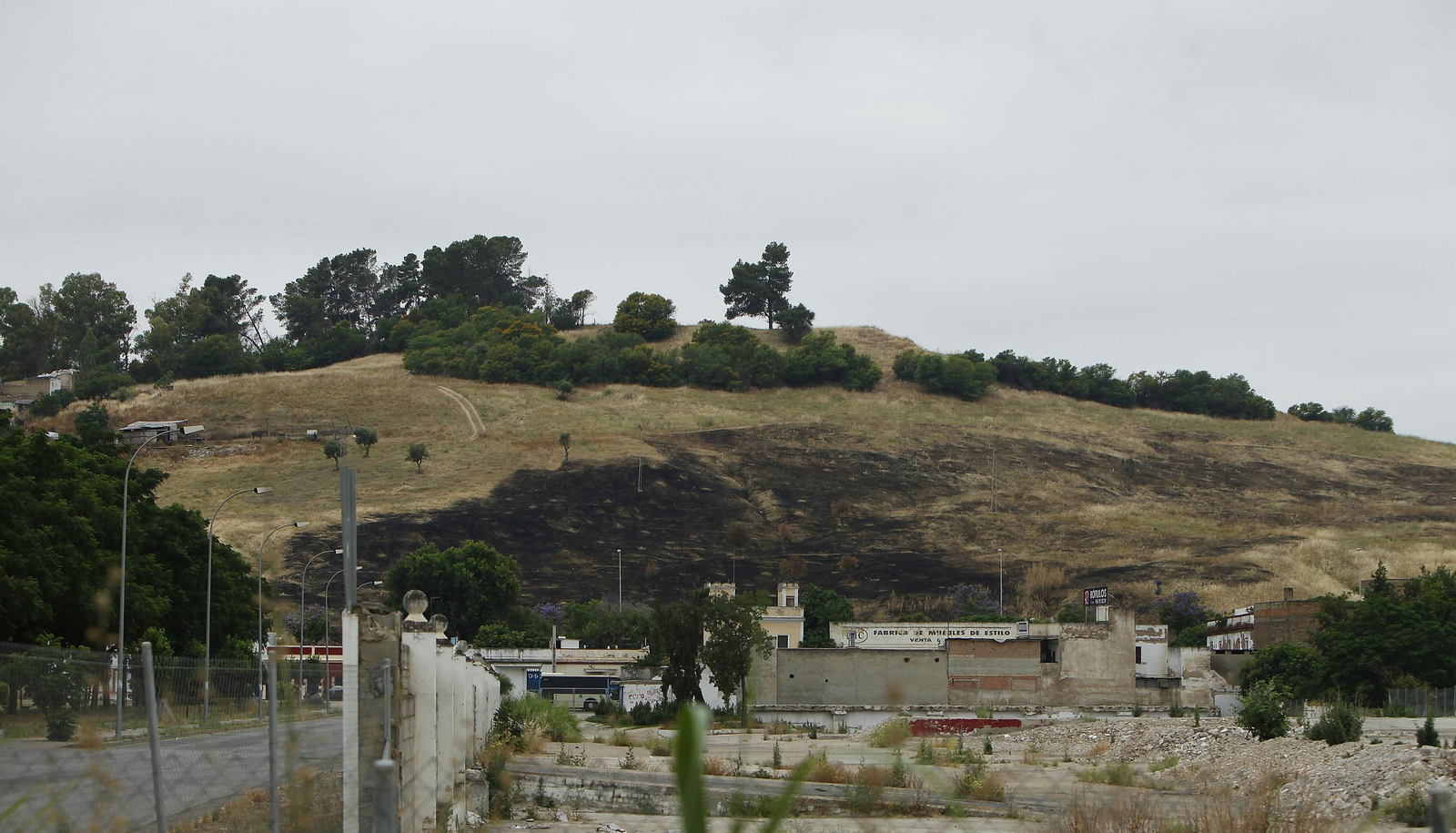 Las llamas destruyen ciento de árboles sembrados en el Carambolo