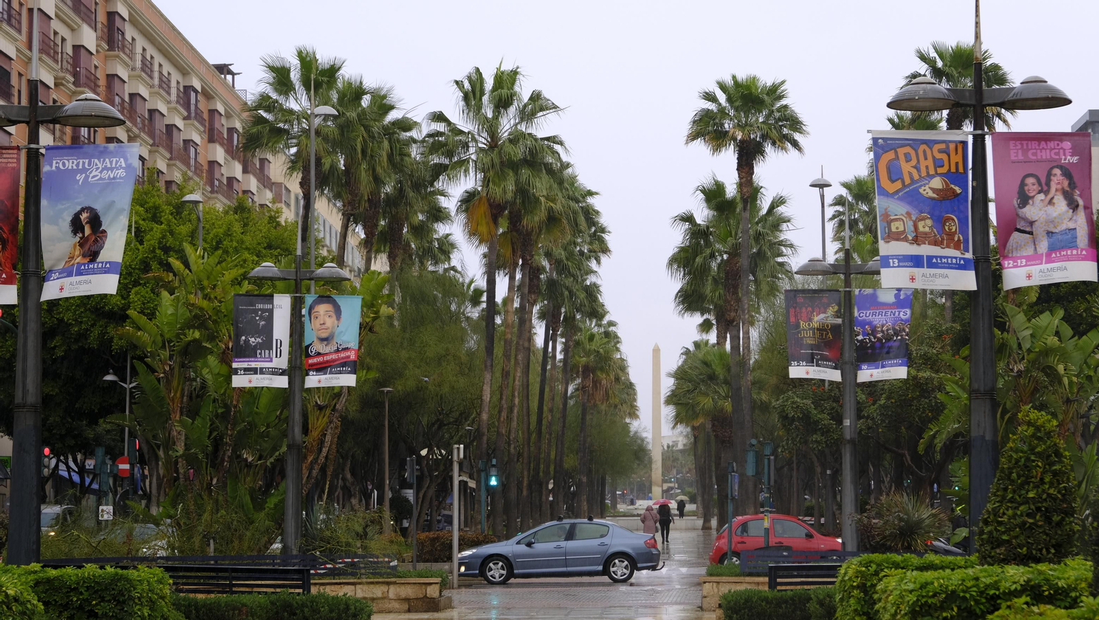 Imágenes de la acotación de palmeras. Almería