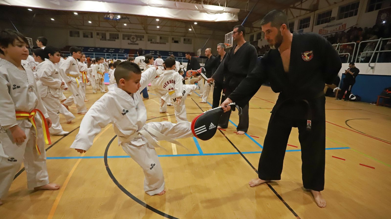 Las mejores fotos de la exhibición de Seul Gym en La Línea