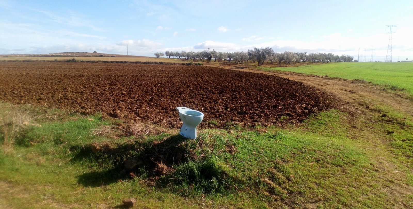 Excusado a cielo abierto