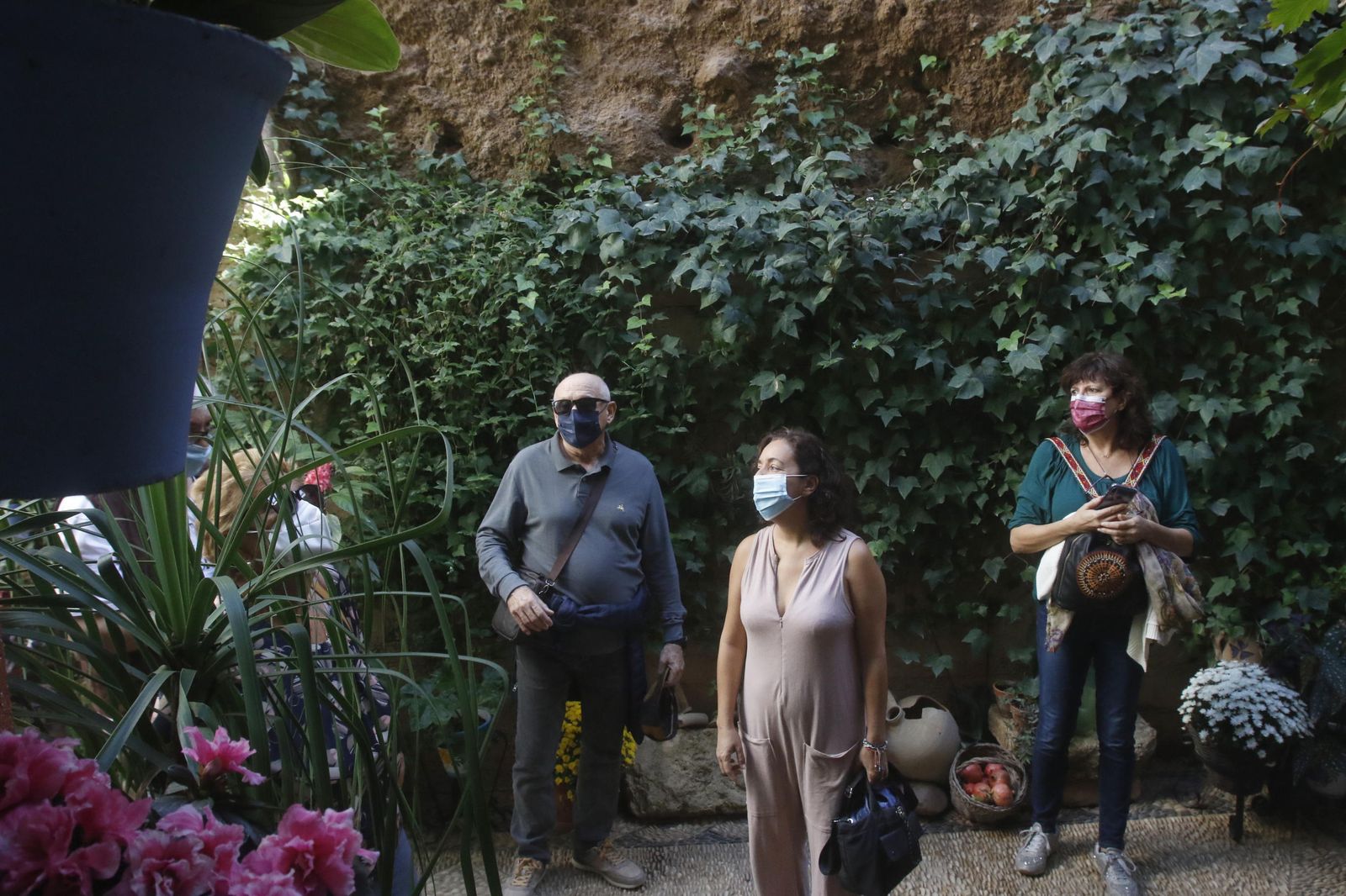 Los Patios en otoño, en fotografías