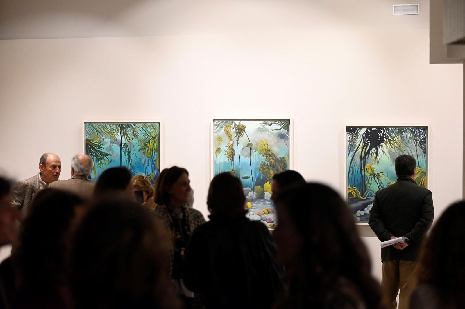 En fotos, la exposición que te llevará hasta el fondo del mar sin moverte de Córdoba