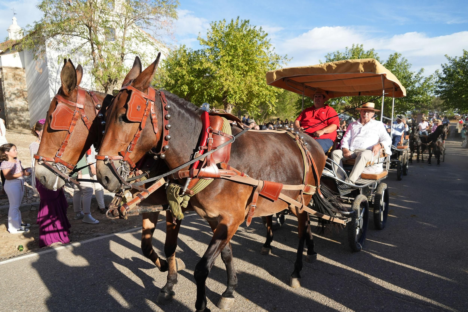 Las mejores imágenes de la Fiesta de los Piostros de Pedroche