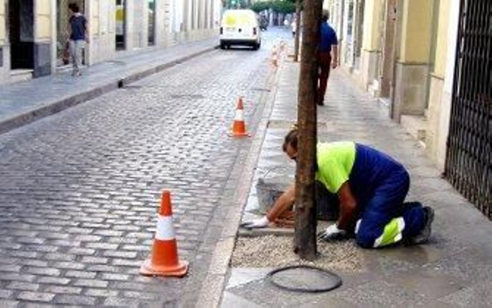 Comienza el relleno de alcorques para mejorar la movilidad Comienza el relleno de alcorques para mejorar la movilidad