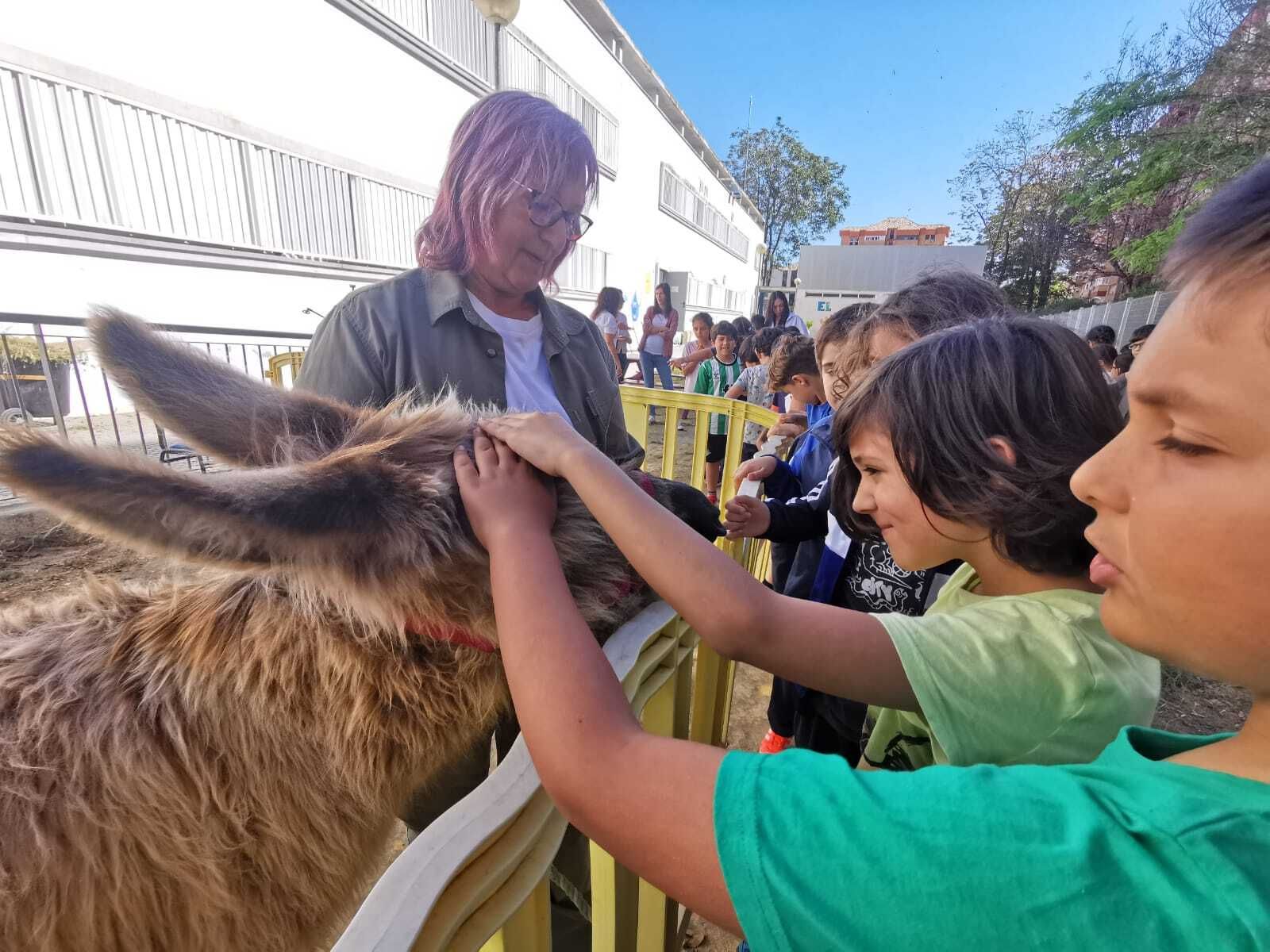 La entrañable visita de la Burrita Leonor a los niños del CEIP Doce de Octubre de Huelva