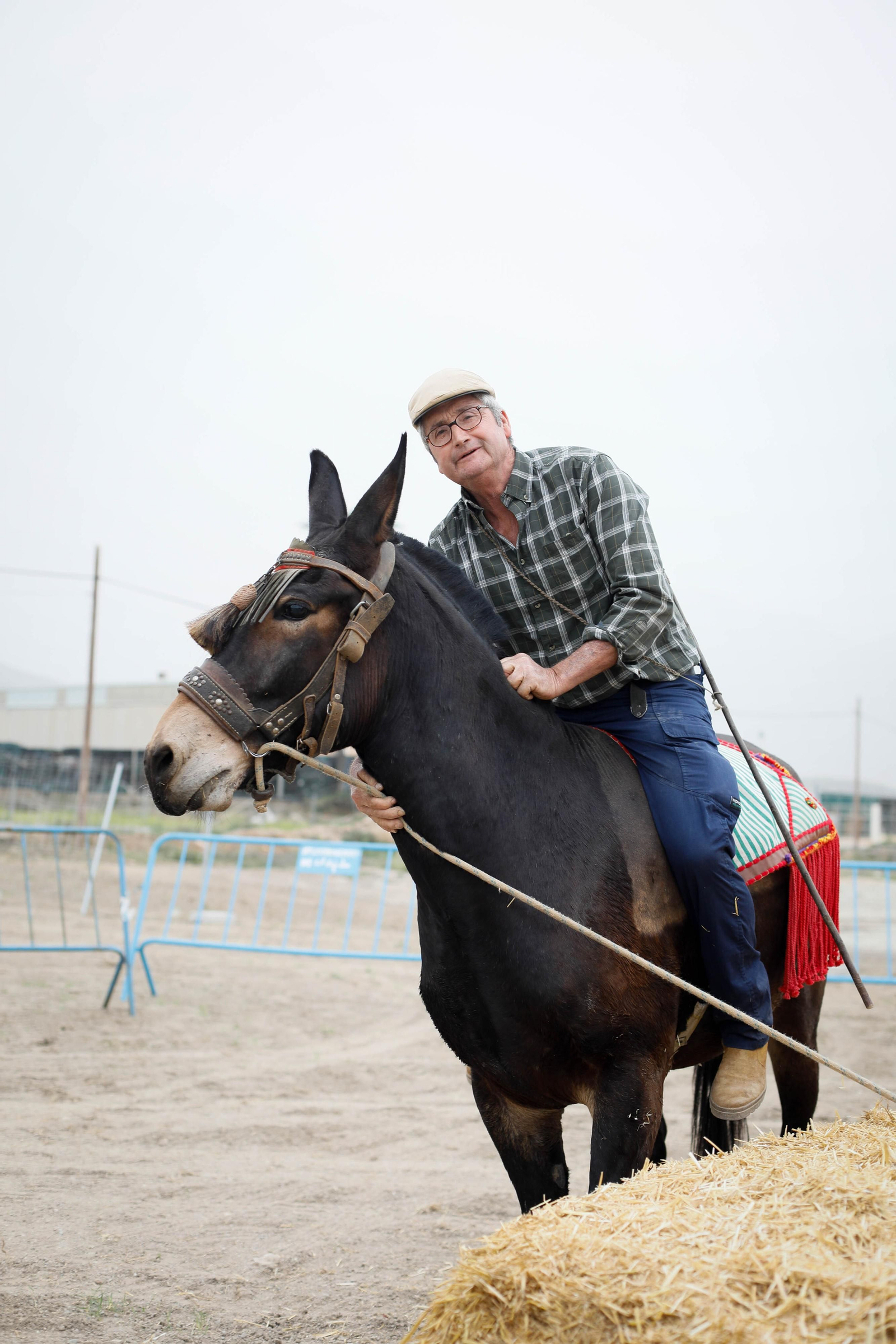 Galería de la Feria  de ganado en Tarambana