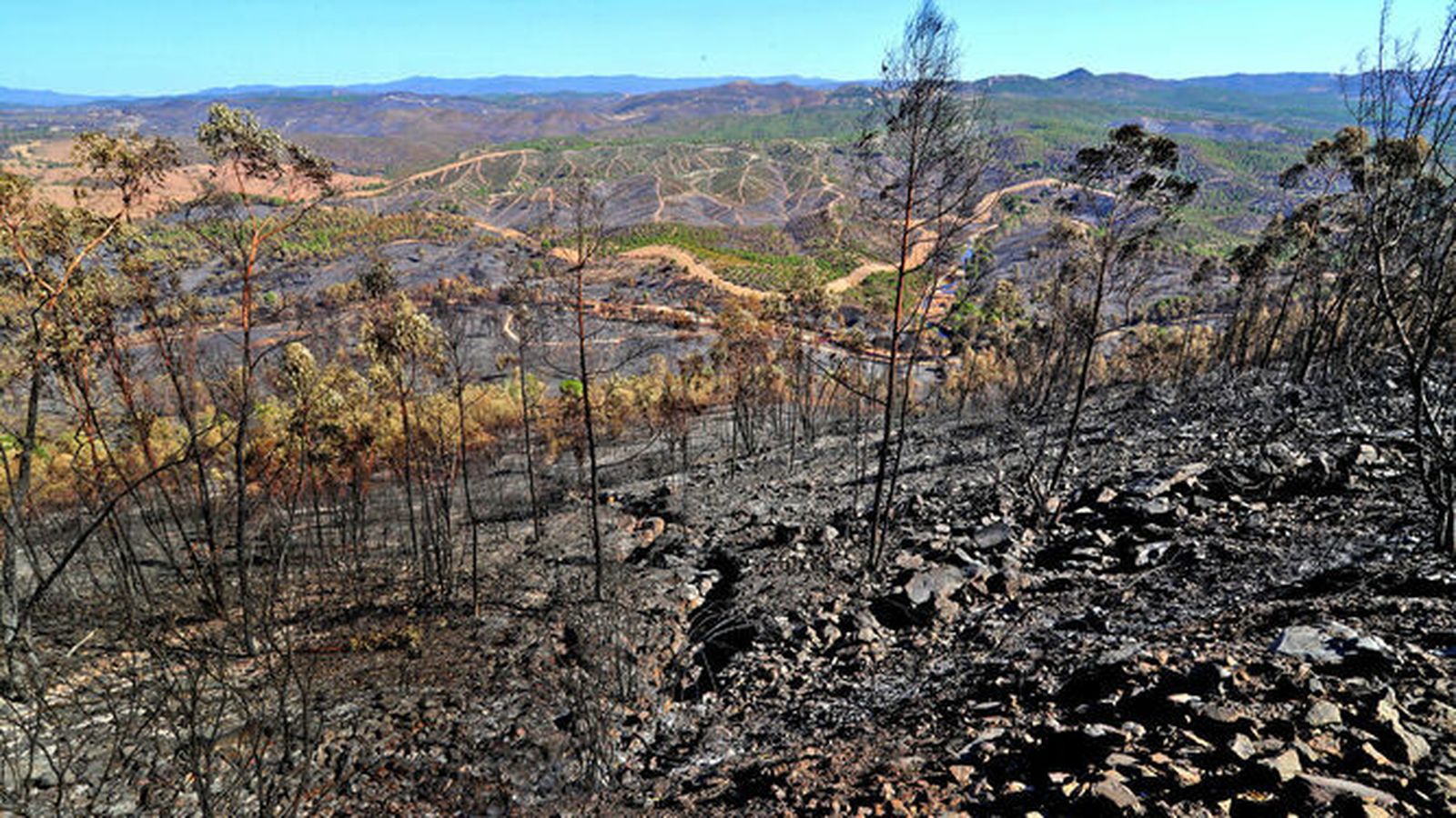 Territorios de la Sierra arrasados por las llamas.