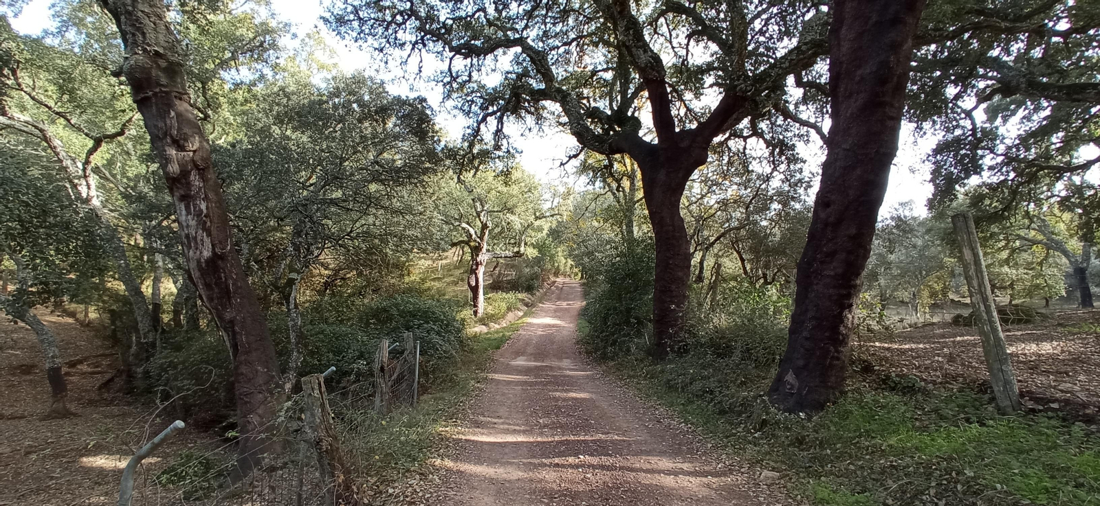 Las imágenes de la ruta de la Dehesa de Valdelama: De Los Marines a Fuenteheridos y vuelta