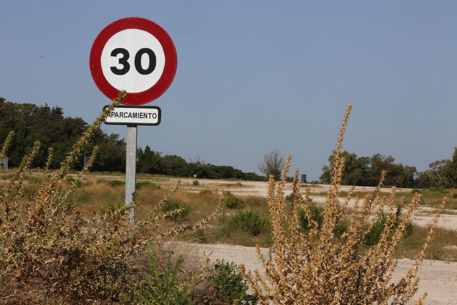 Coronavirus: MotoGP 2019,MotoGP 2020 un mundial atípico en jerez