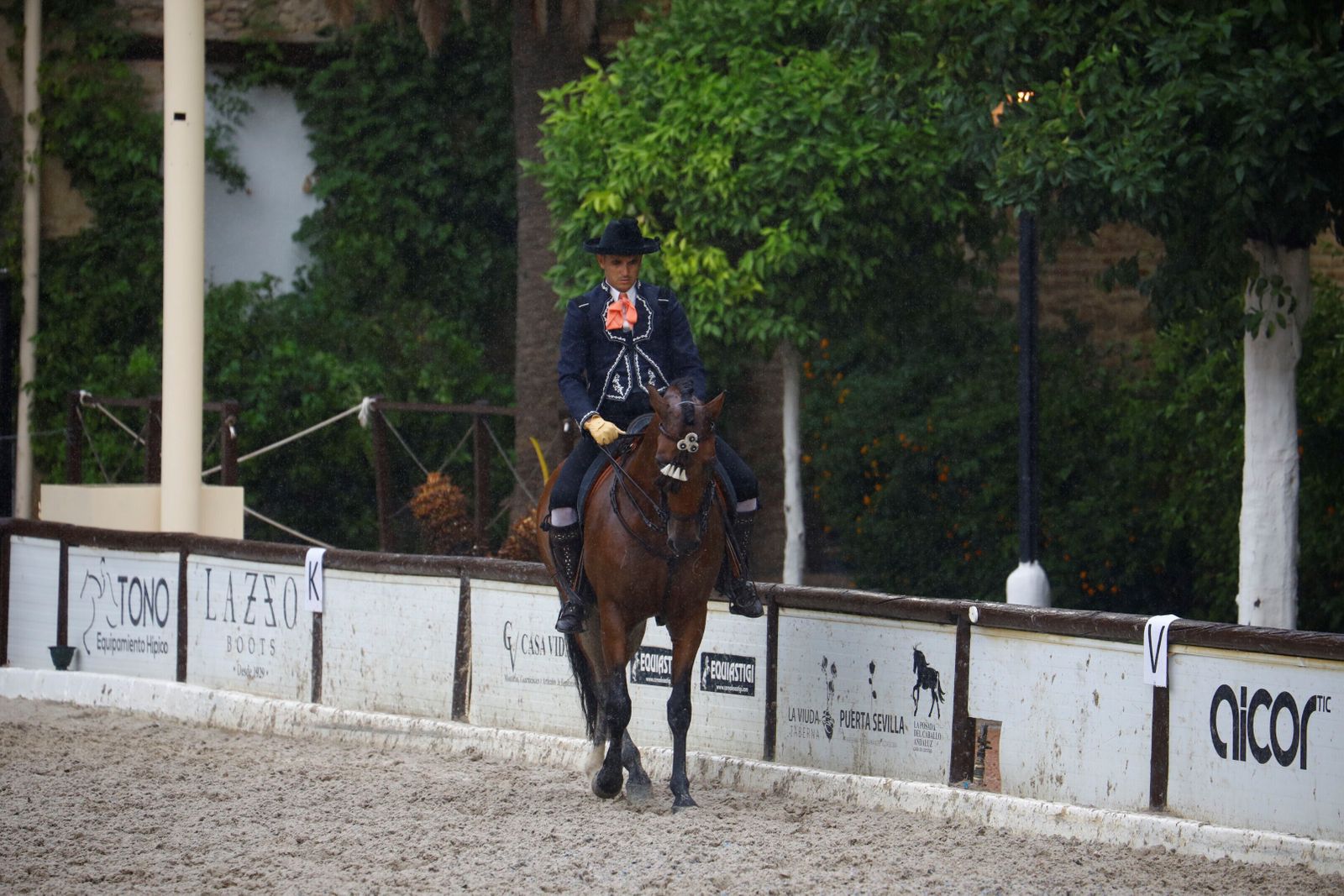 La celebración de la VI Copa de España de Alta Escuela en Córdoba, en imágenes