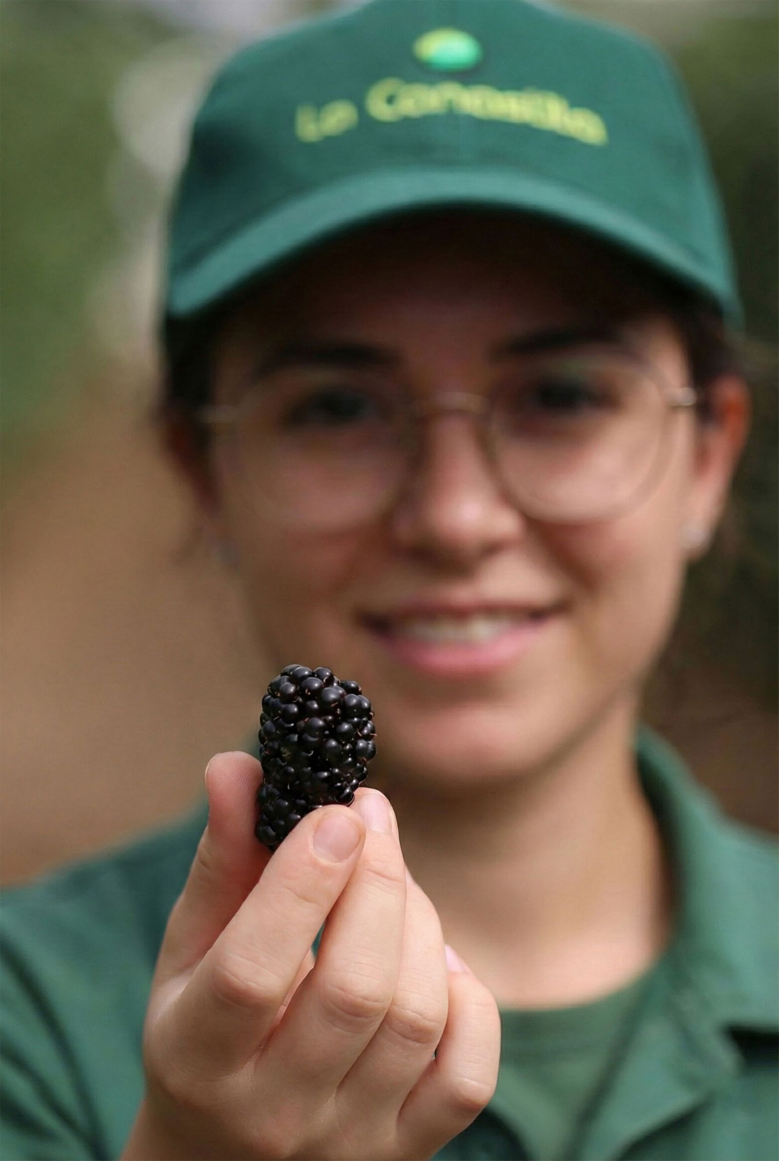 El objetivo es claro, ofrecer variedades que permitan producir de manera más eficiente, sostenible y rentable.