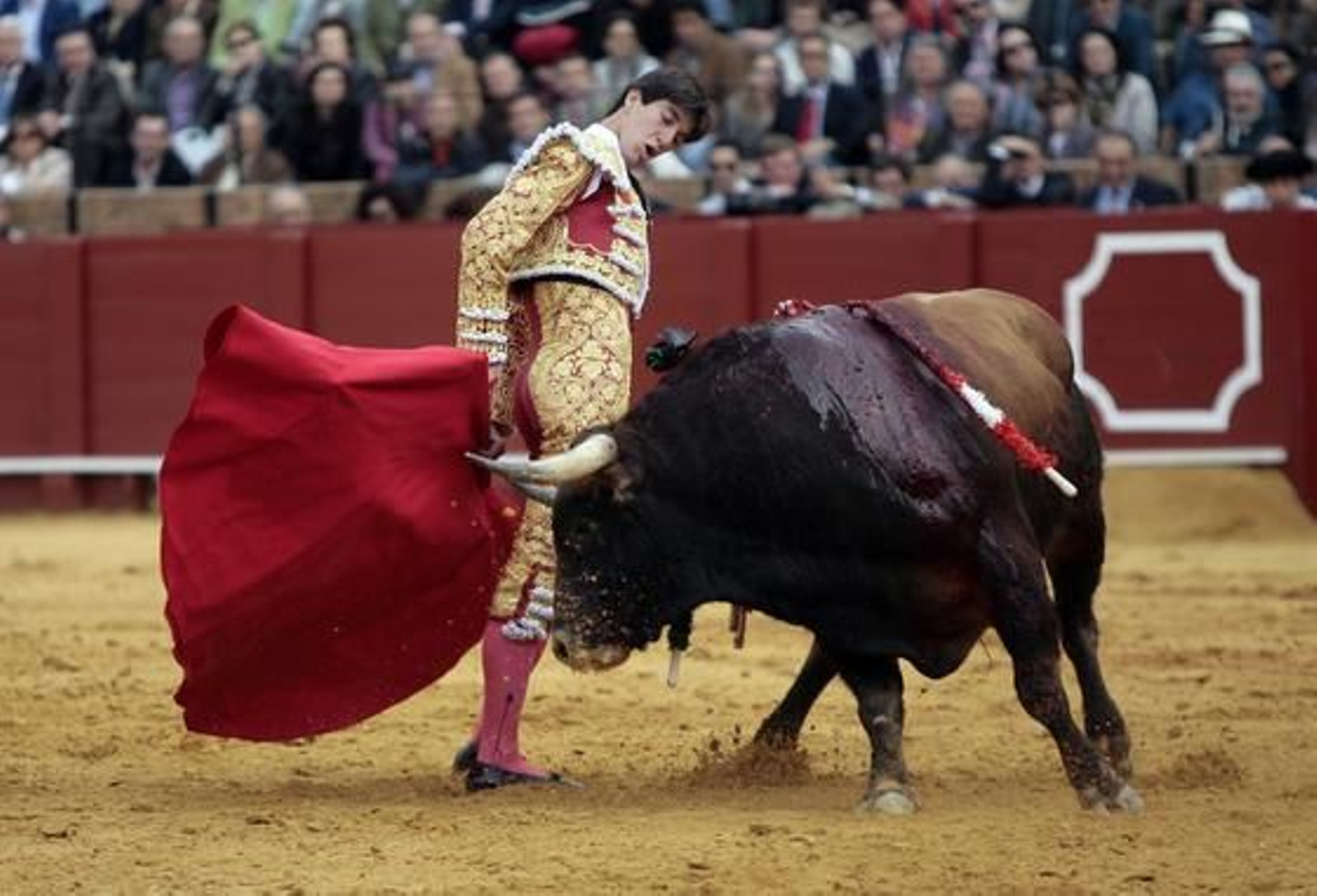 Esaú Fernández con su primer toro en la Maestranza.

Foto: Juan Carlos Muñoz