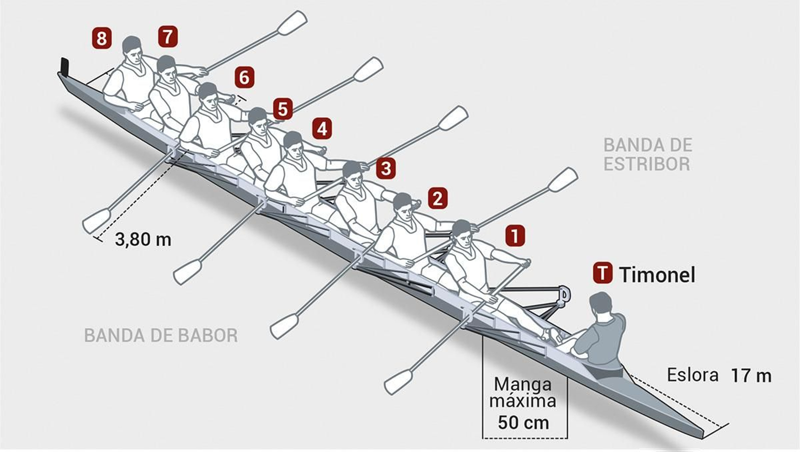 Los botes en los que remarán los sevillistas y los béticos en las diferentes regatas.