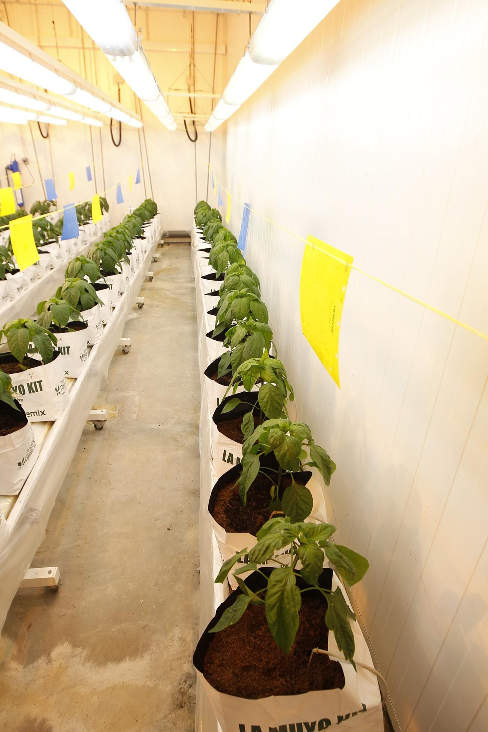 Fotogalería presentación resultados Bayer