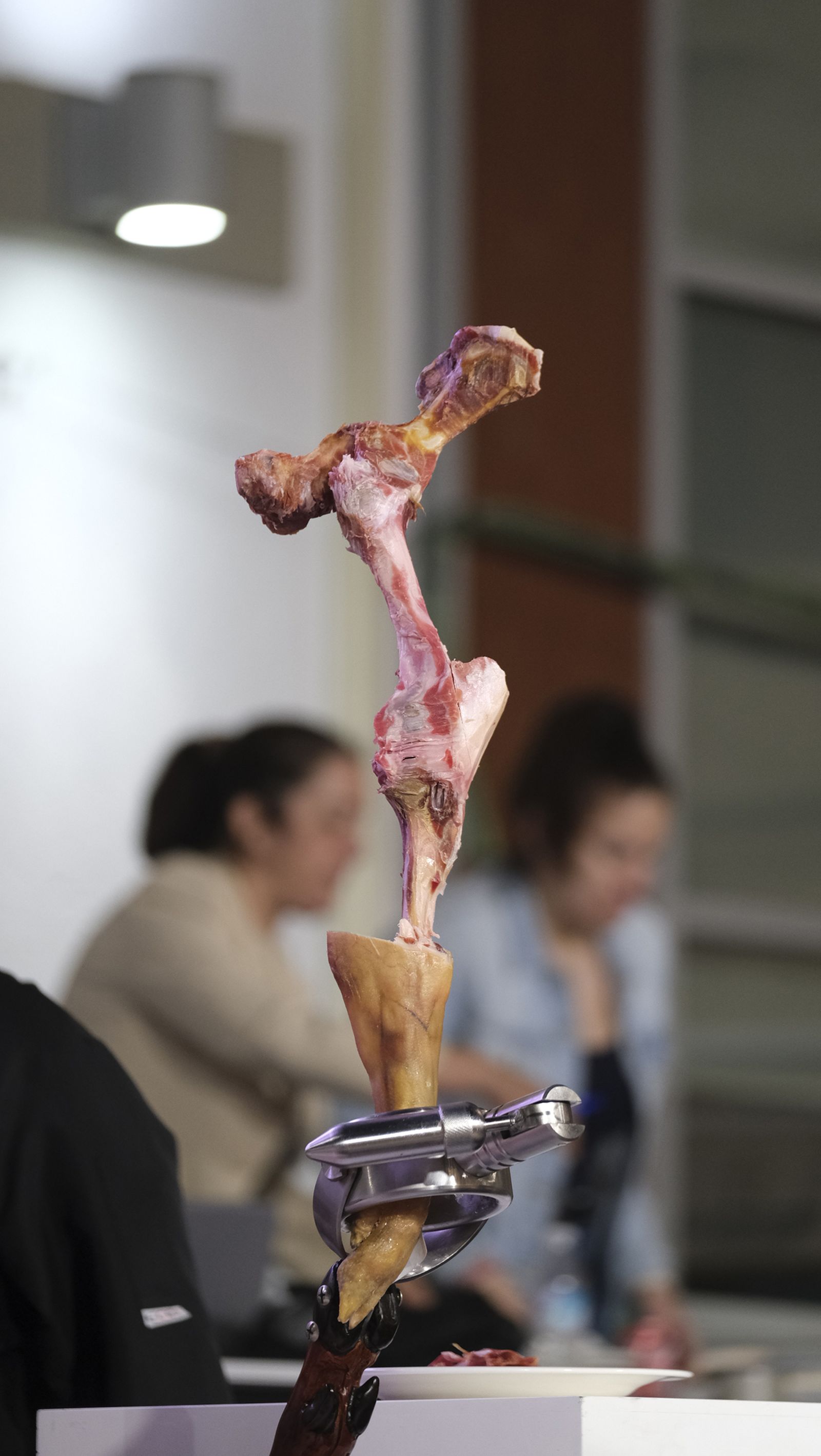 Imágenes del Concurso Nacional de Cortadores de Jamón de Serón