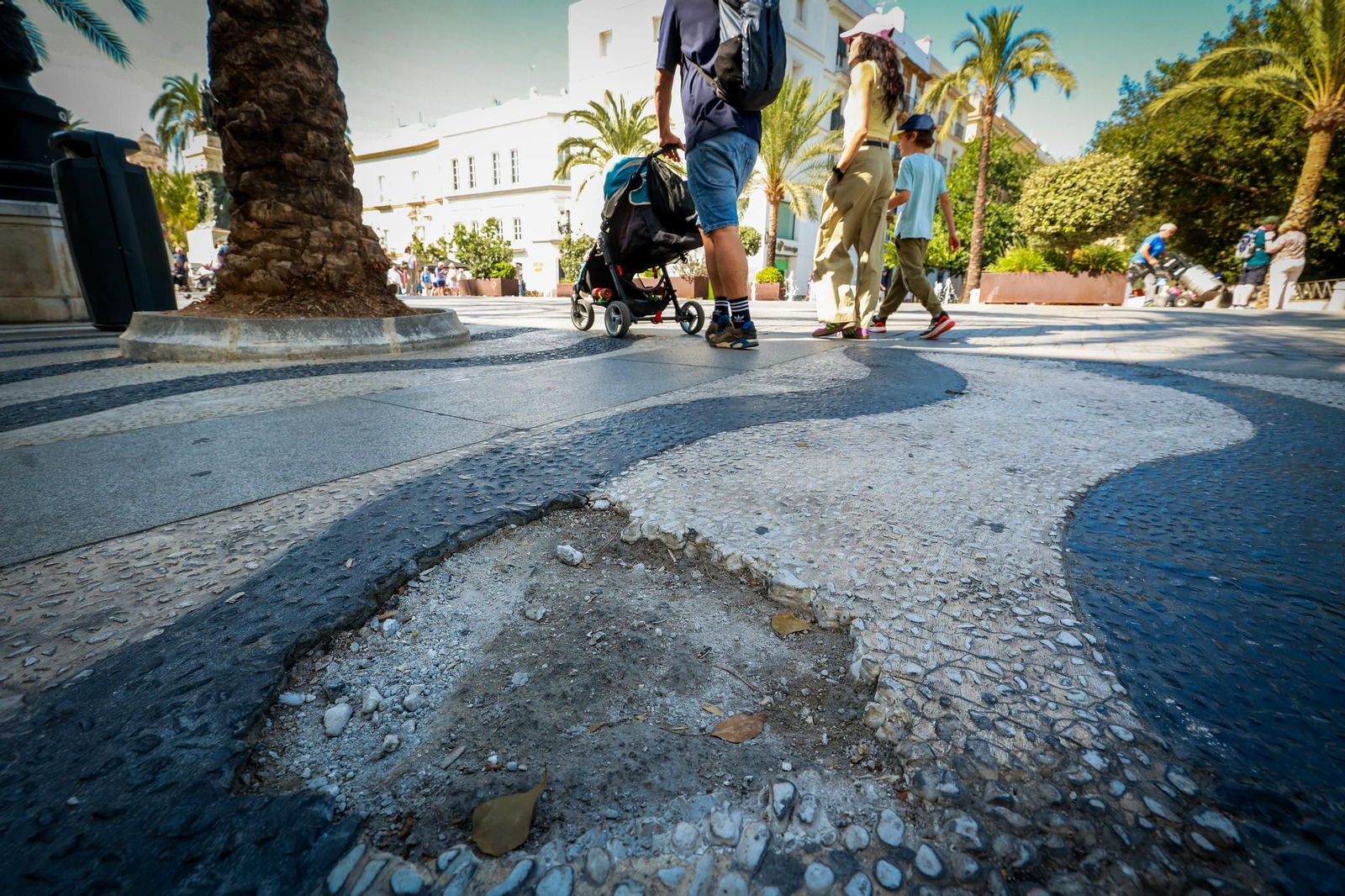 Así están las principales plazas de la ciudad de Cádiz