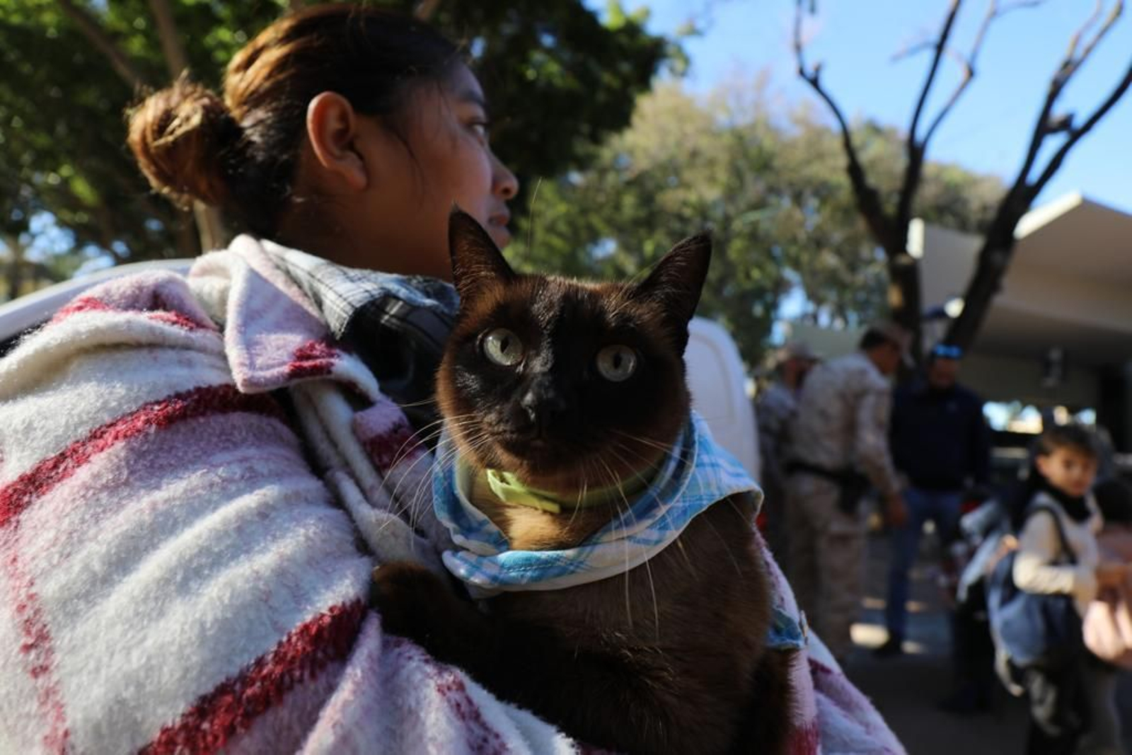 Así ha sido la celebración de San Antón en San Fernando