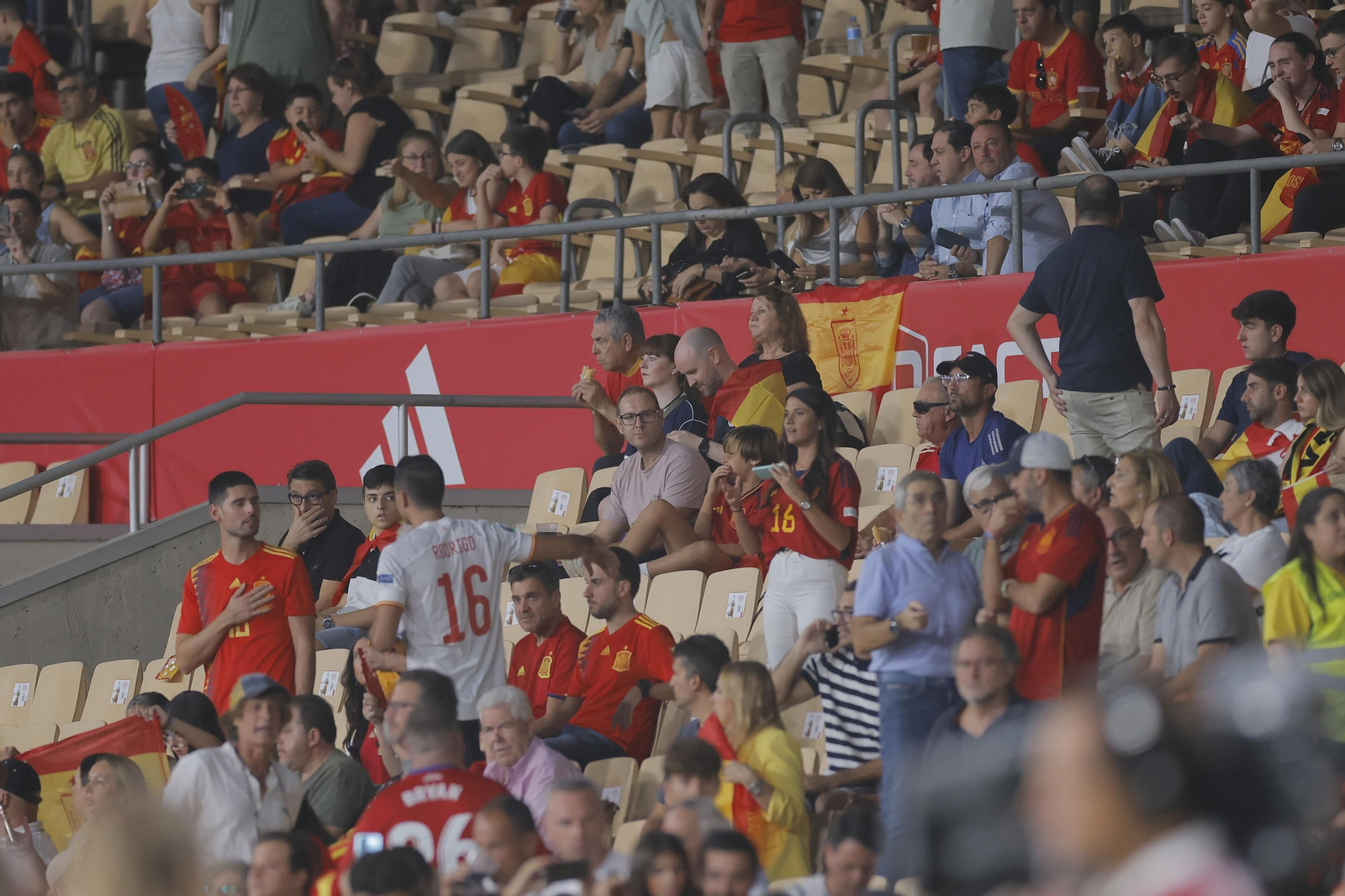 Búscate en las fotos del España-Escocia