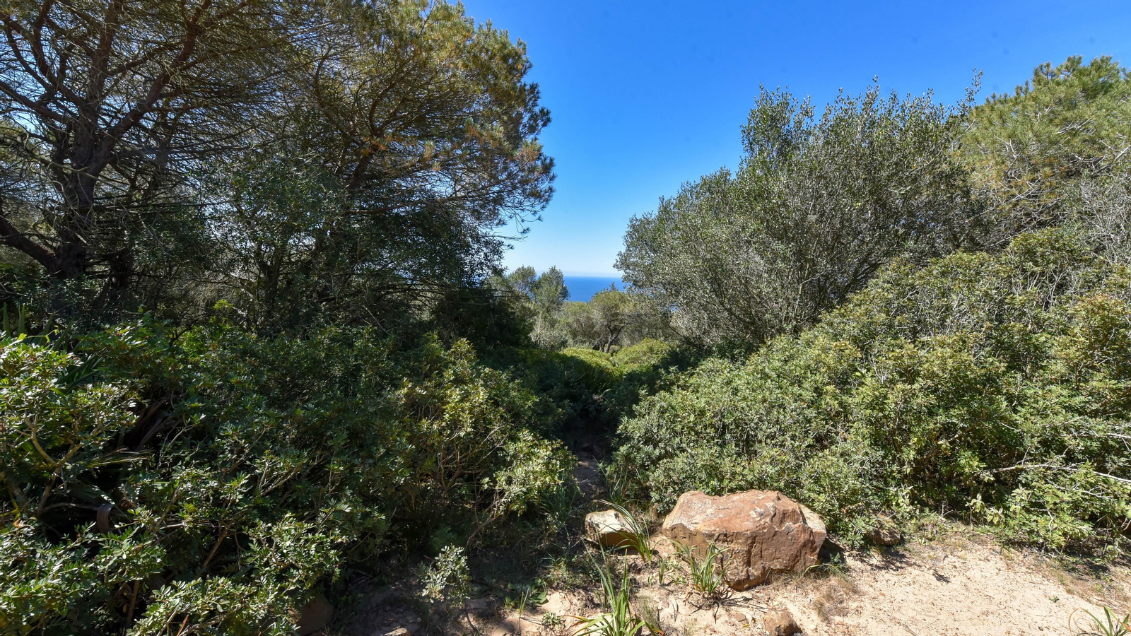 Fotos de la zona de Betijuelos incendiada