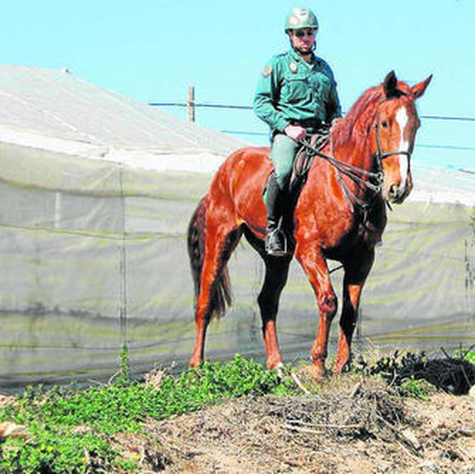 Un escuadrón de caballería que presta servicio en la comarca de Poniente.