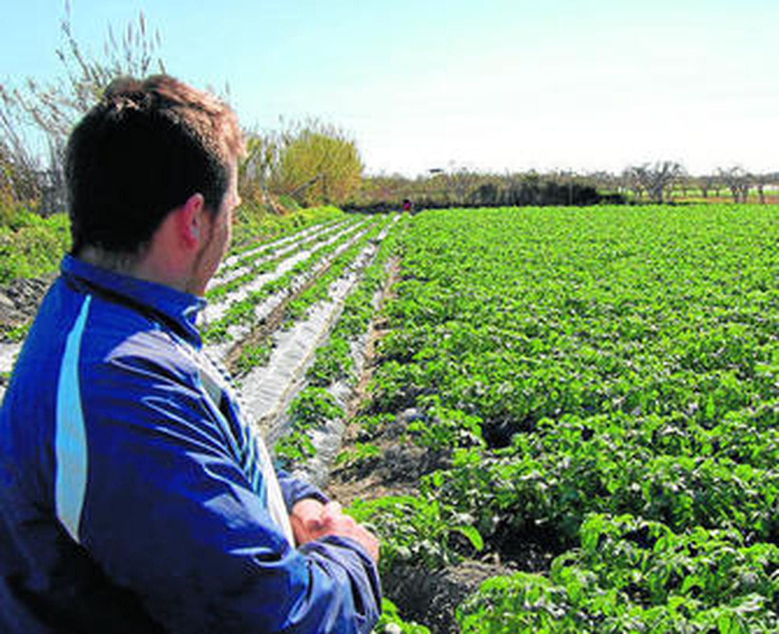 Los cursos de formación finalizarán el 31 de diciembre.