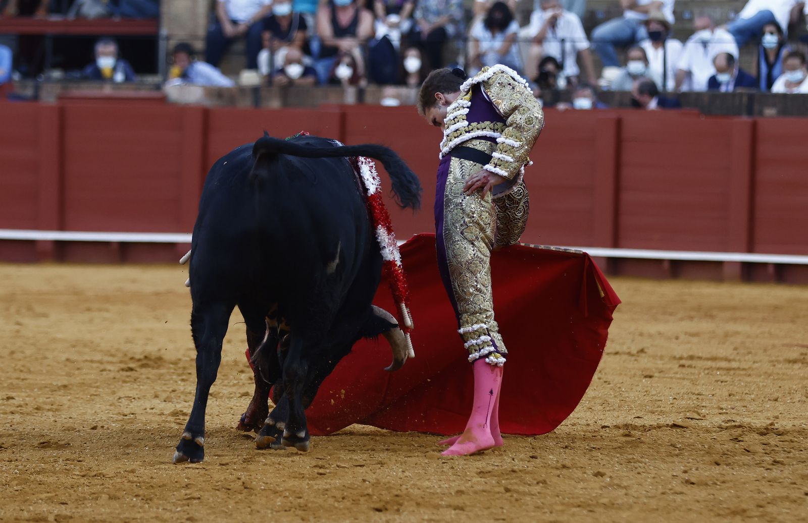 Fotos de la segunda novillada de la feria de San Miguel de Sevilla