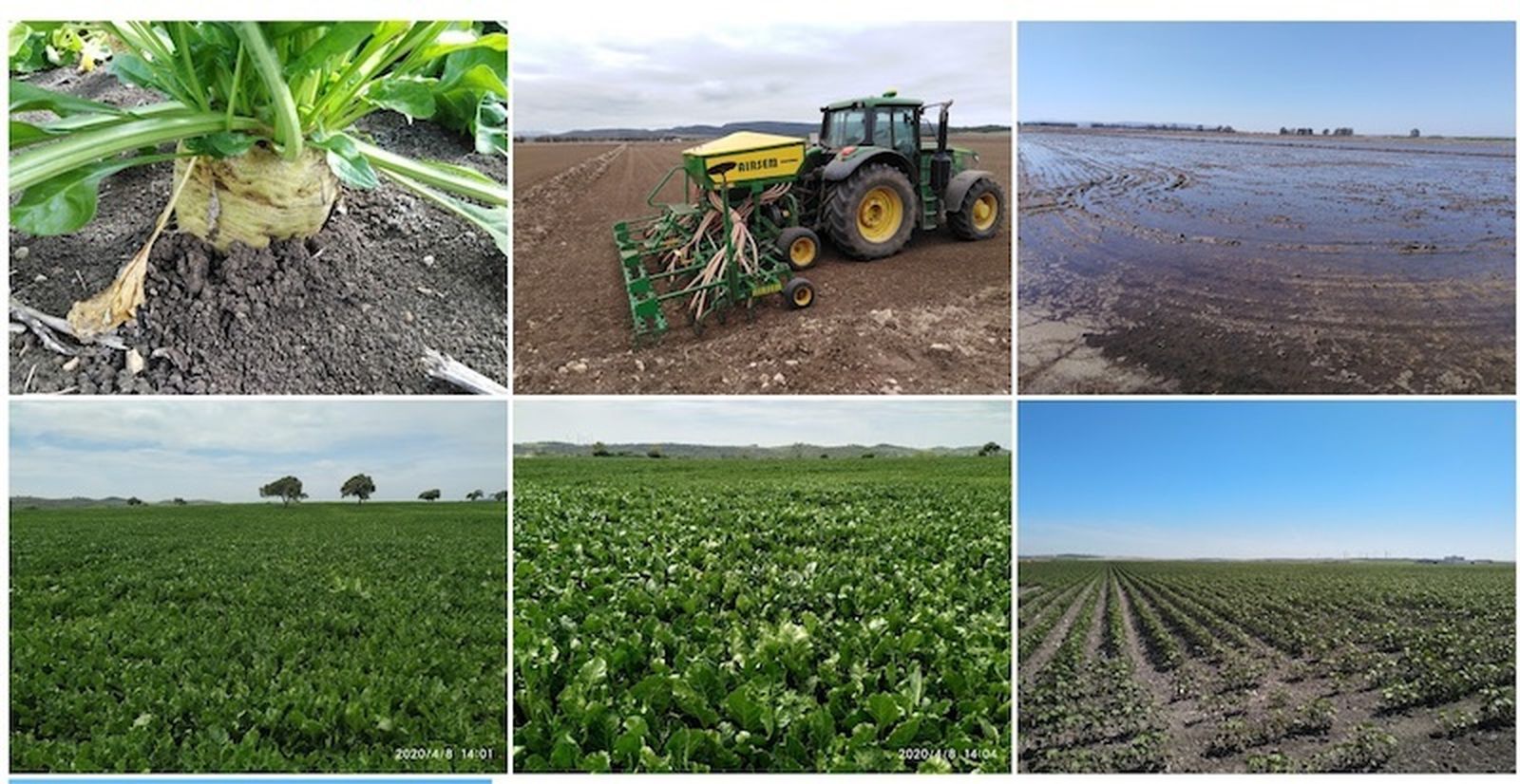 Ayudas agroambientales imprescindibles para el campo andaluz