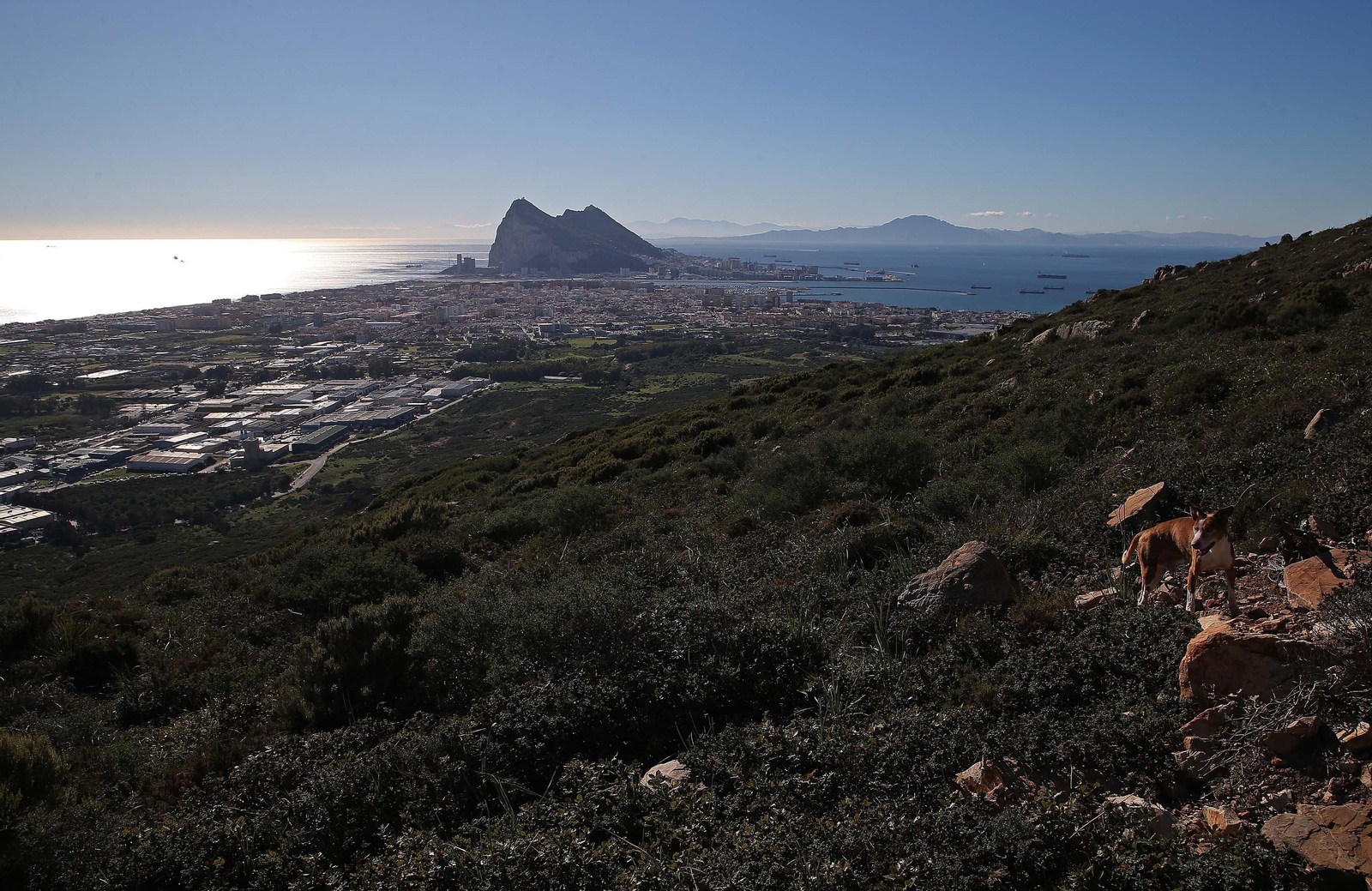 La Línea y Gibraltar, desde Sierra Carbonera.