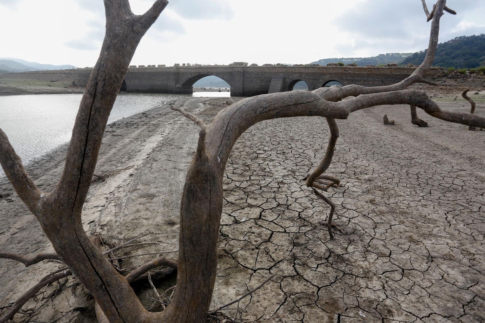 Fotos del estado del pantano de Charco Redondo en Los Barrios