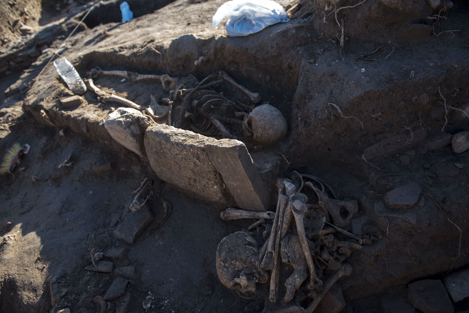 Nuevos hallazgos en Los Mondragones