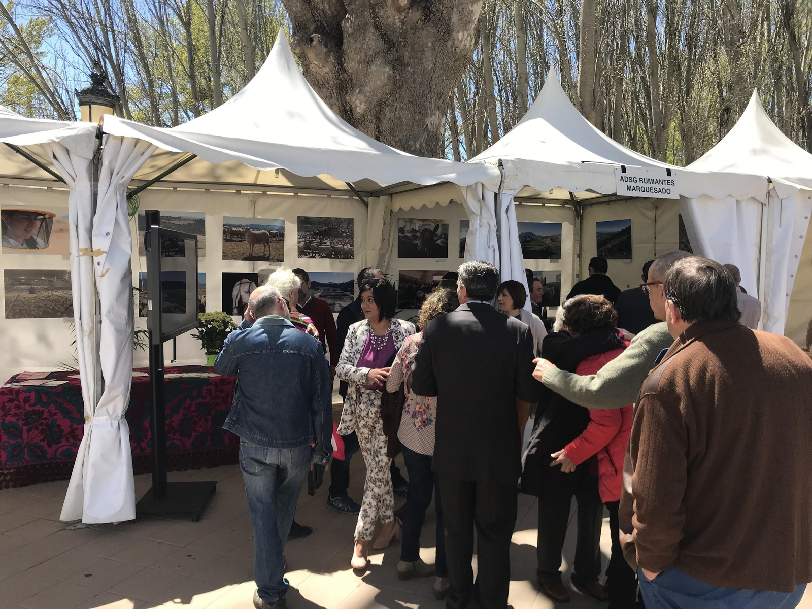 Imágenes de Terracultura 2019, en Chirivel