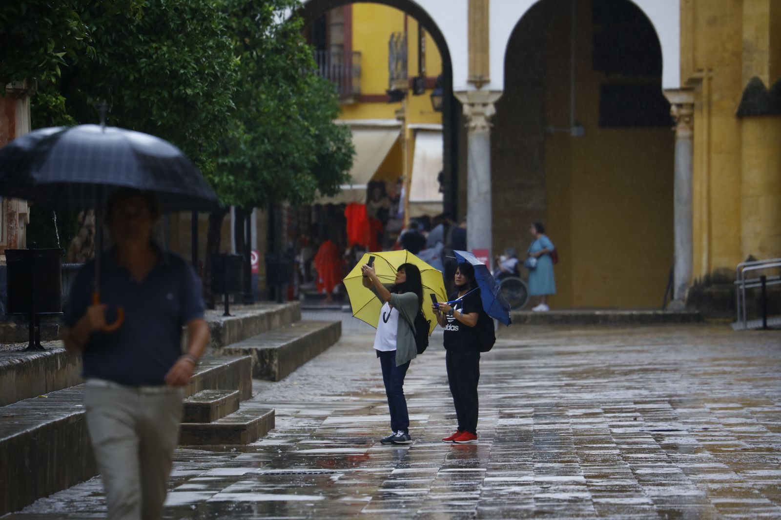Córdoba vuelve a los días de lluvia en imágenes