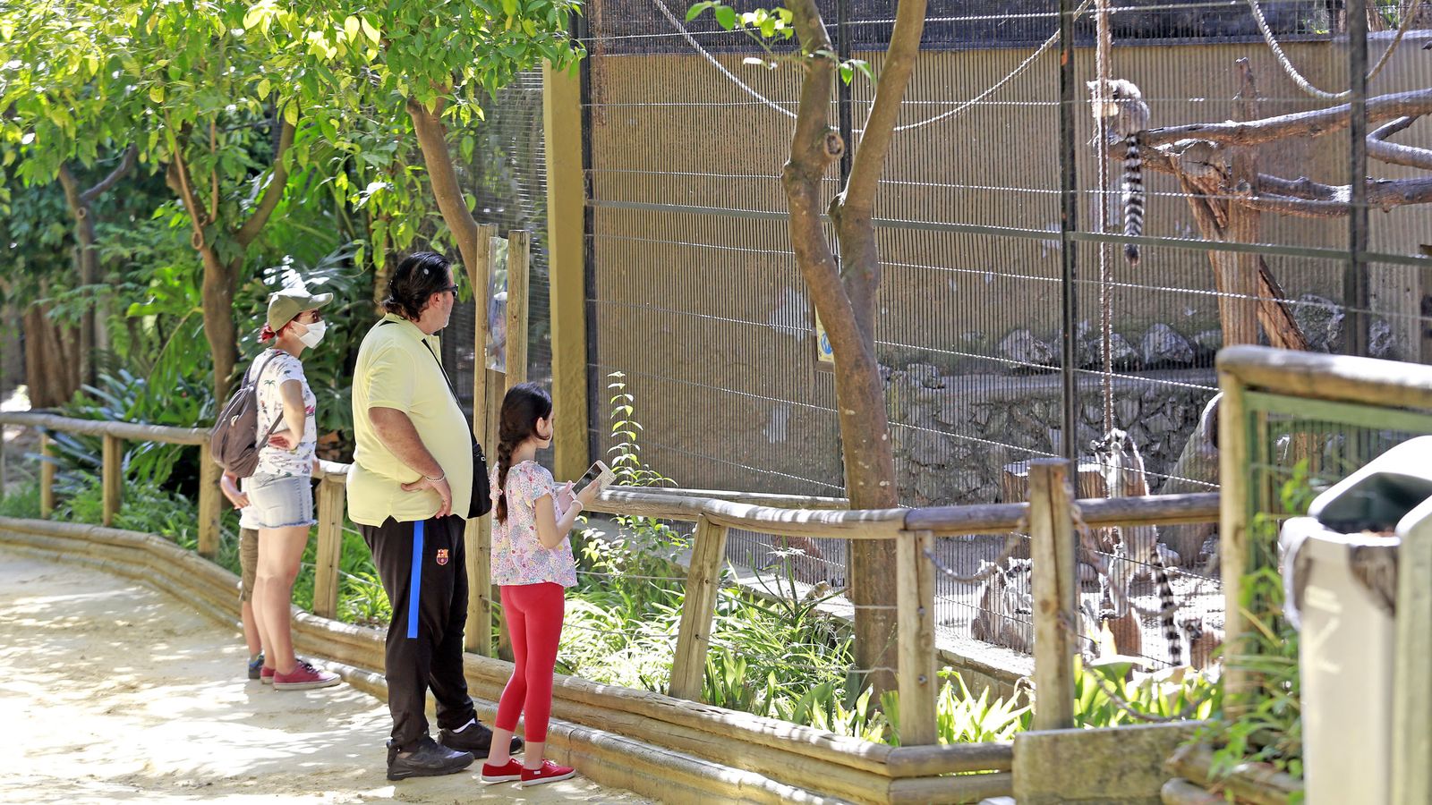 Reapertura del Zoo de Jerez